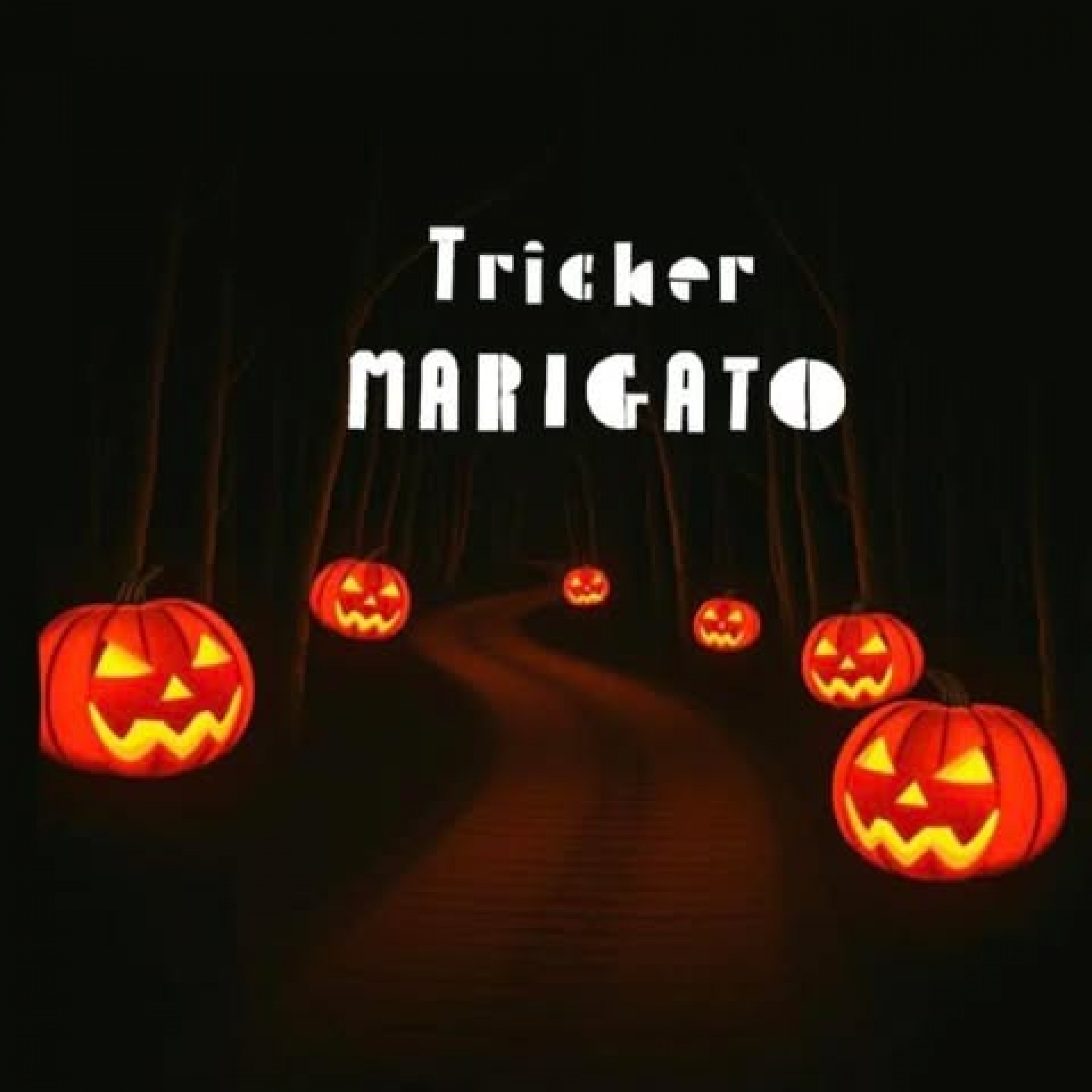 ジャケット写真