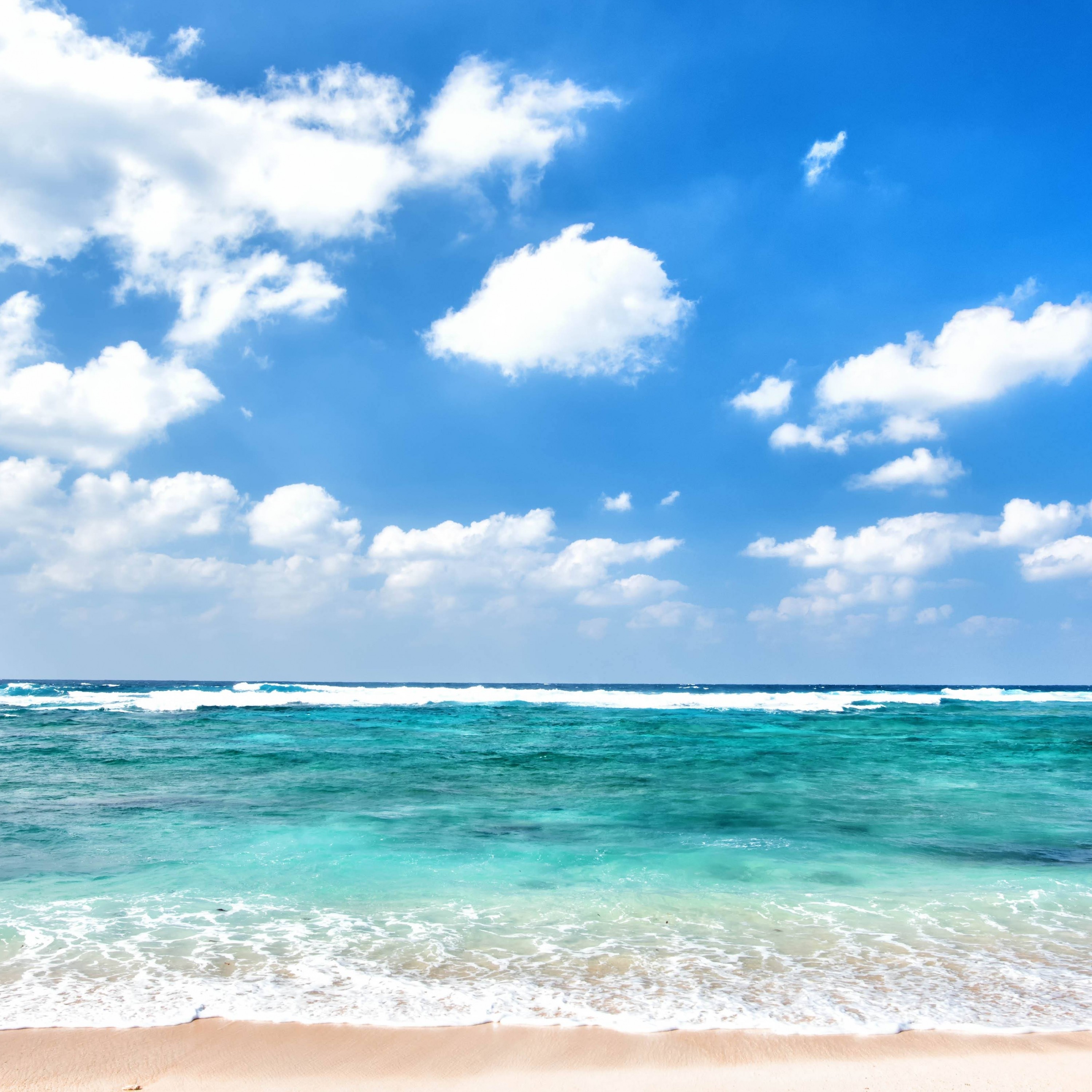 ジャケット写真