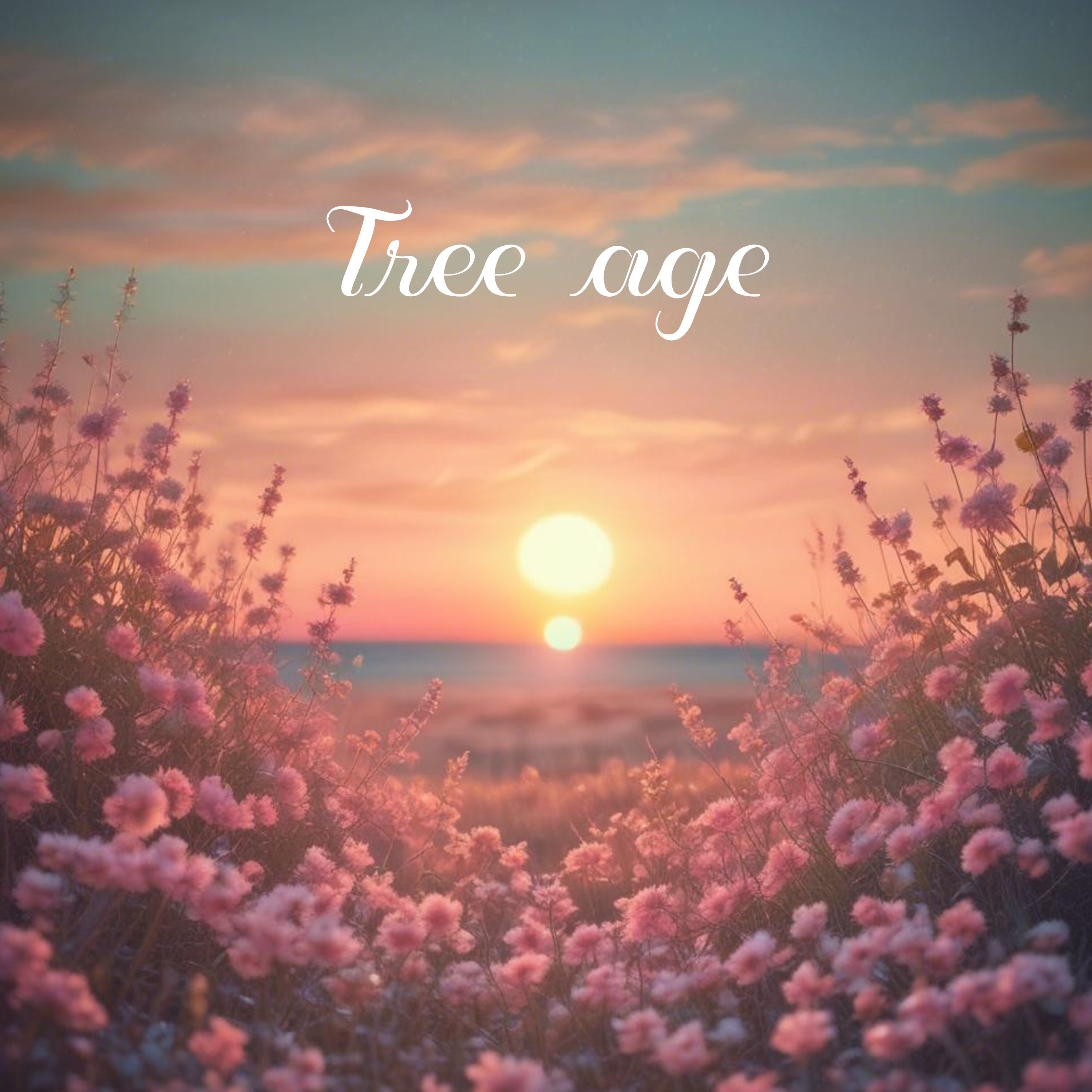 ジャケット写真