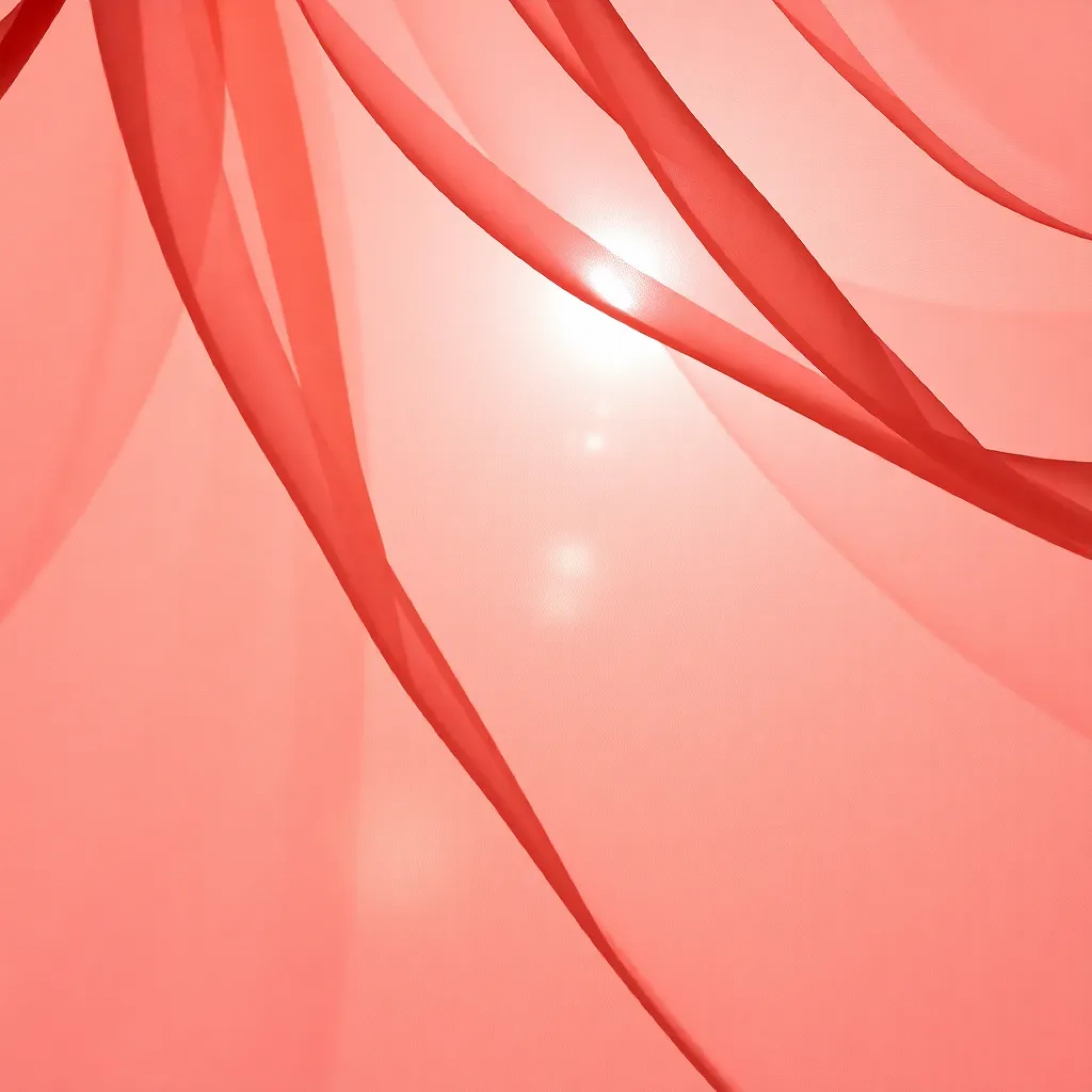 ジャケット写真