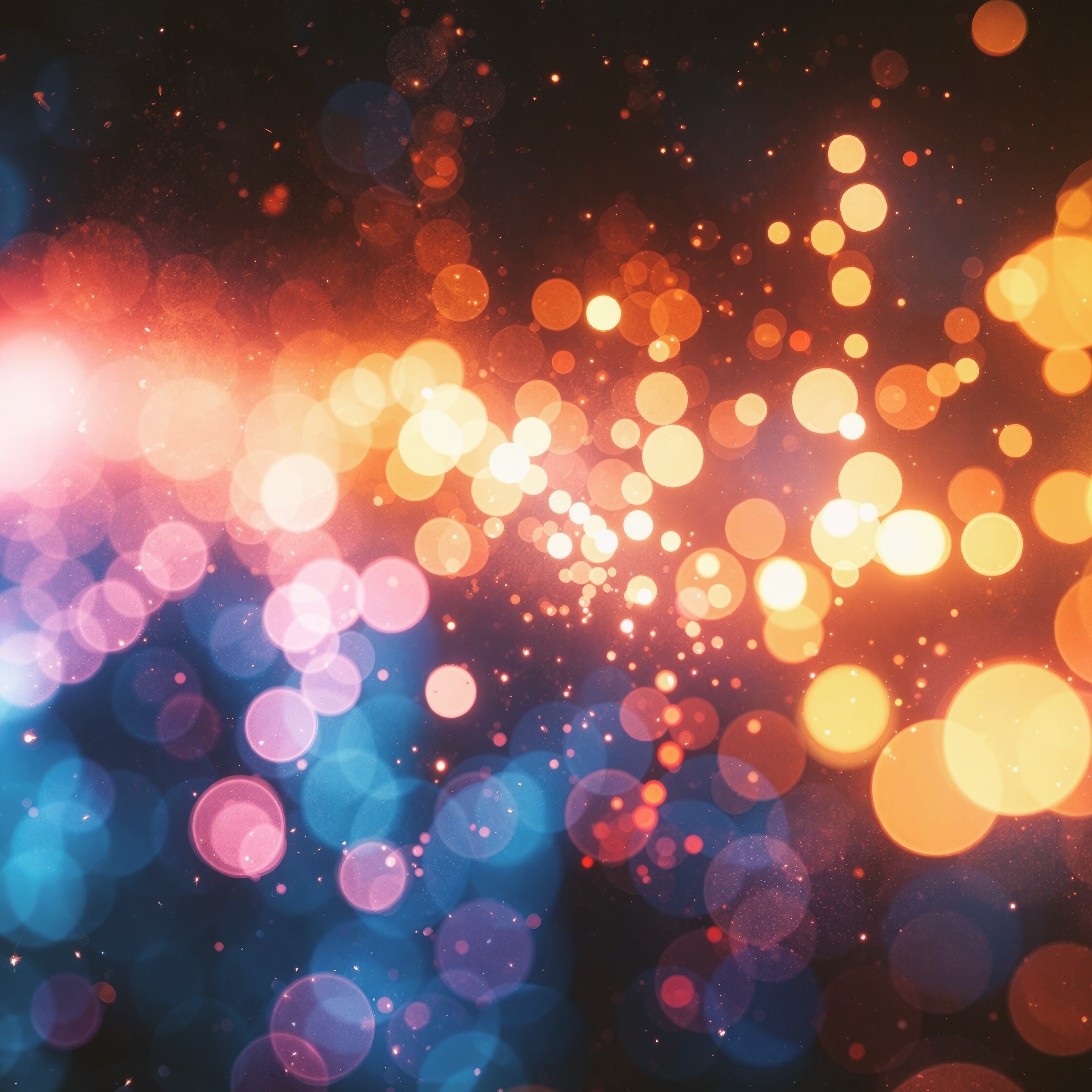 ジャケット写真