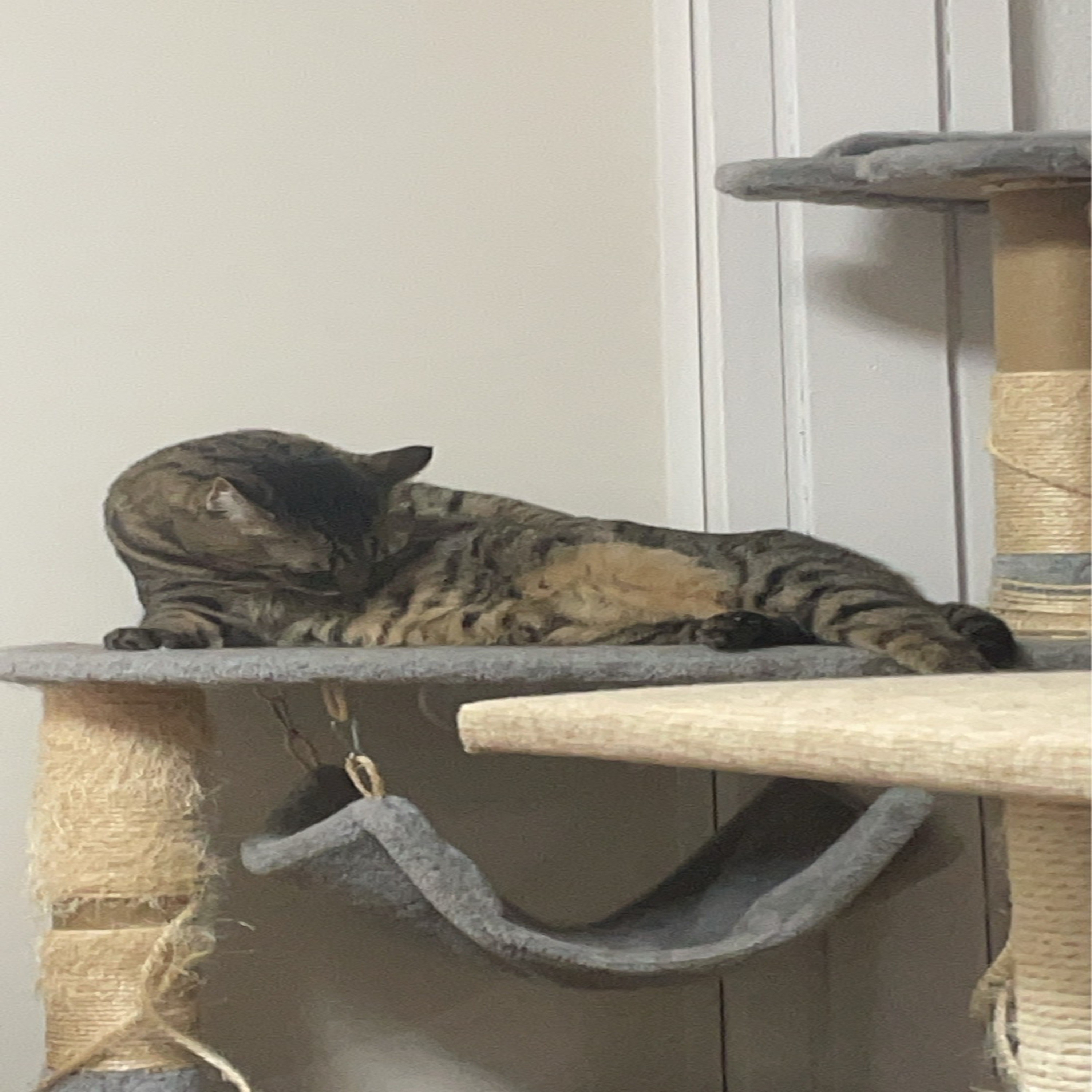 ジャケット写真