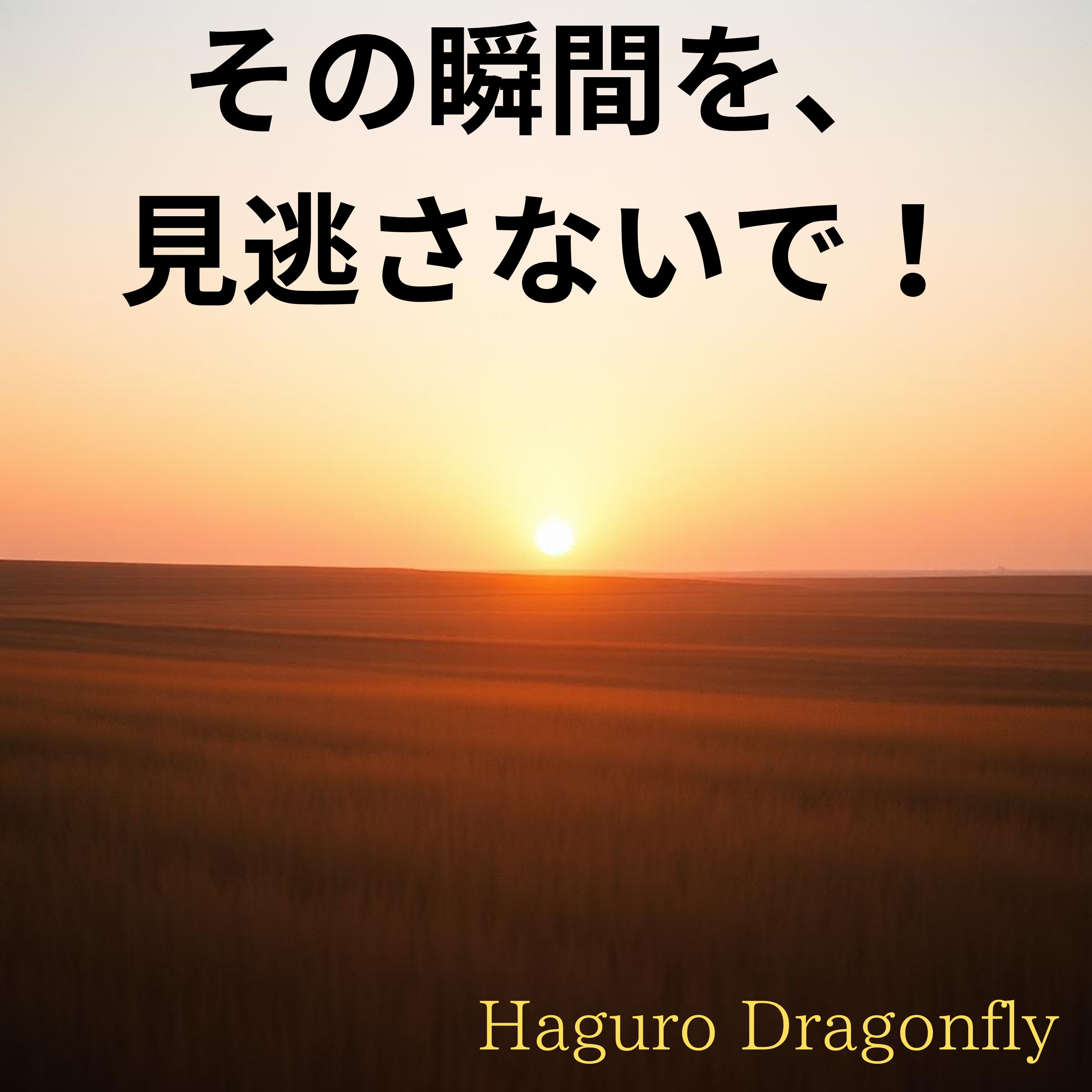 ジャケット写真