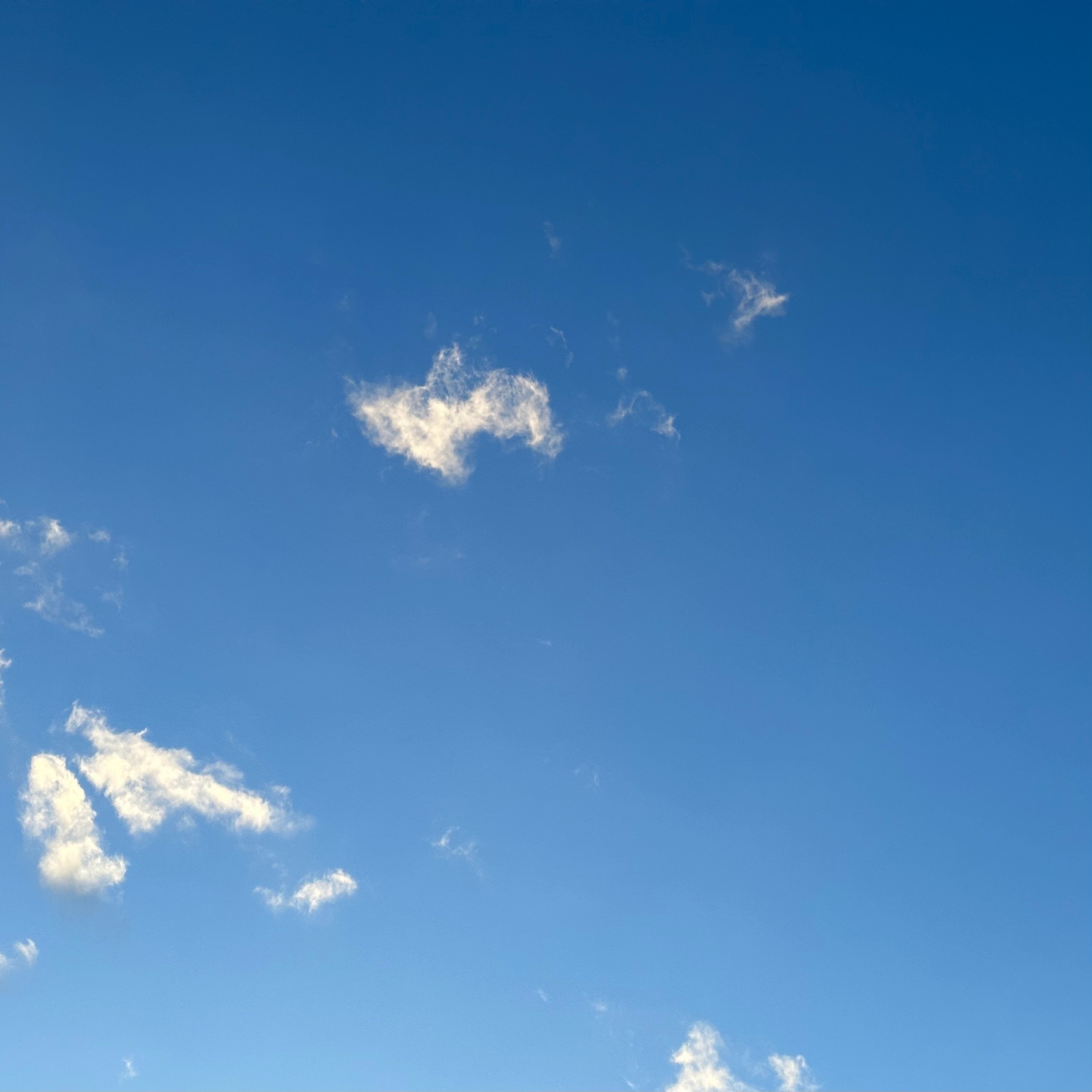 ジャケット写真