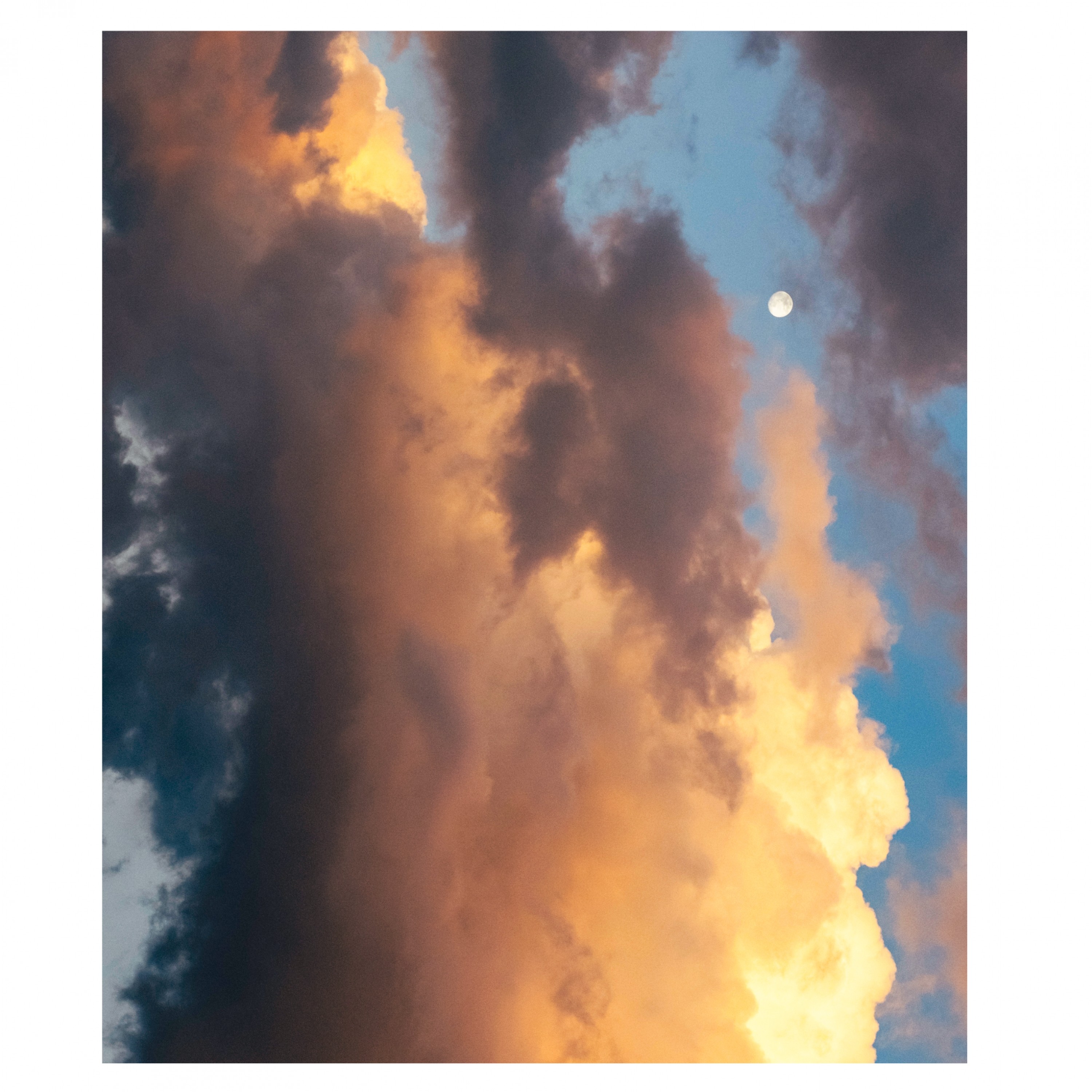 ジャケット写真