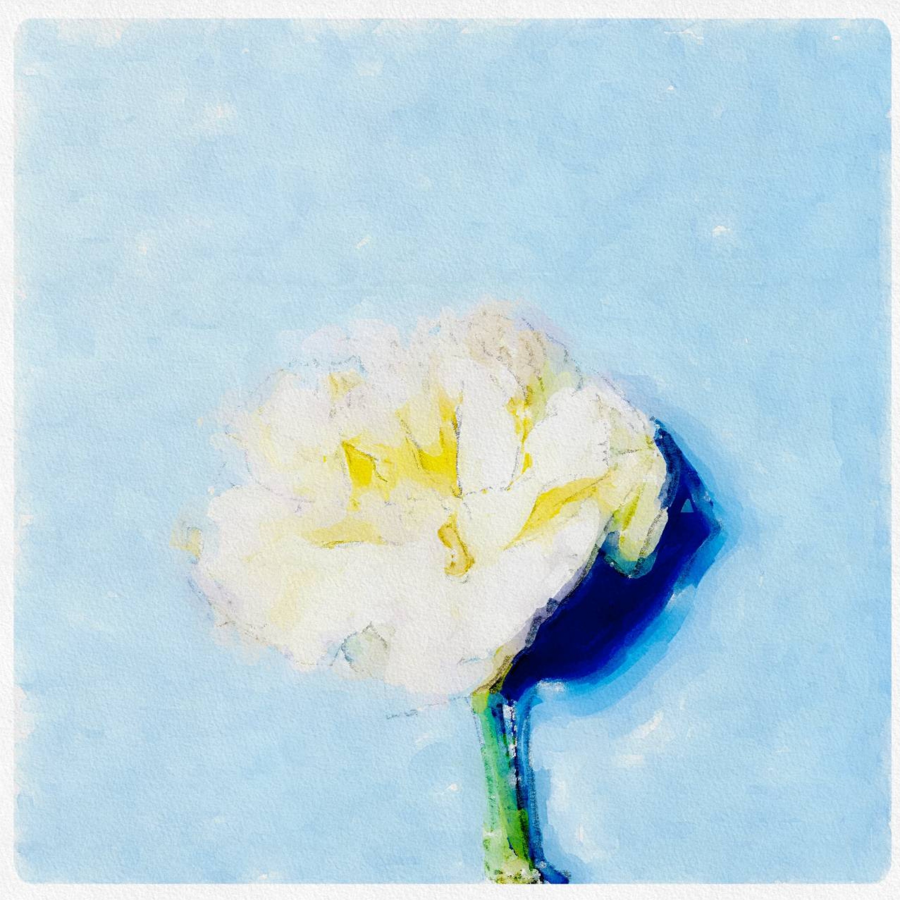 ジャケット写真