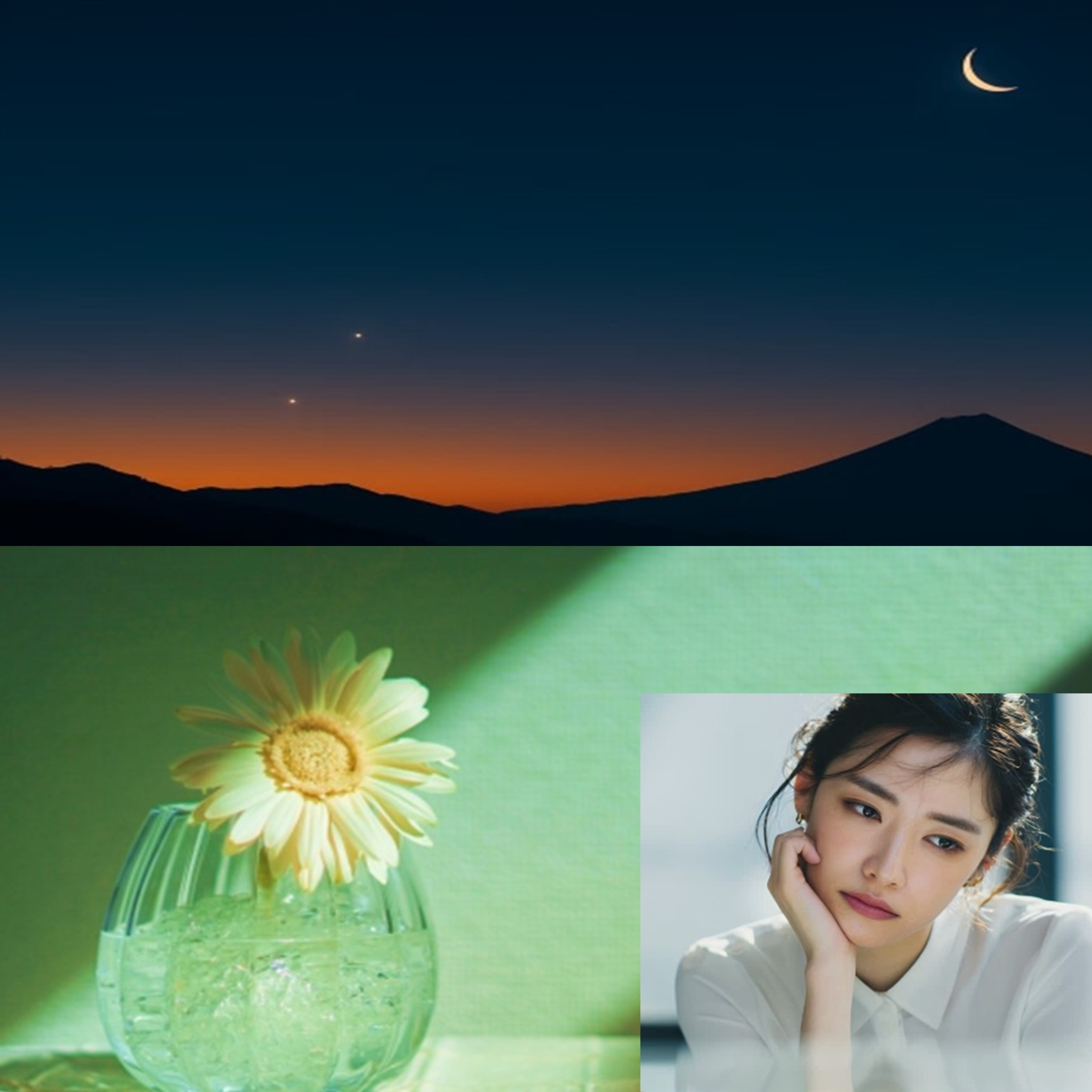 ジャケット写真