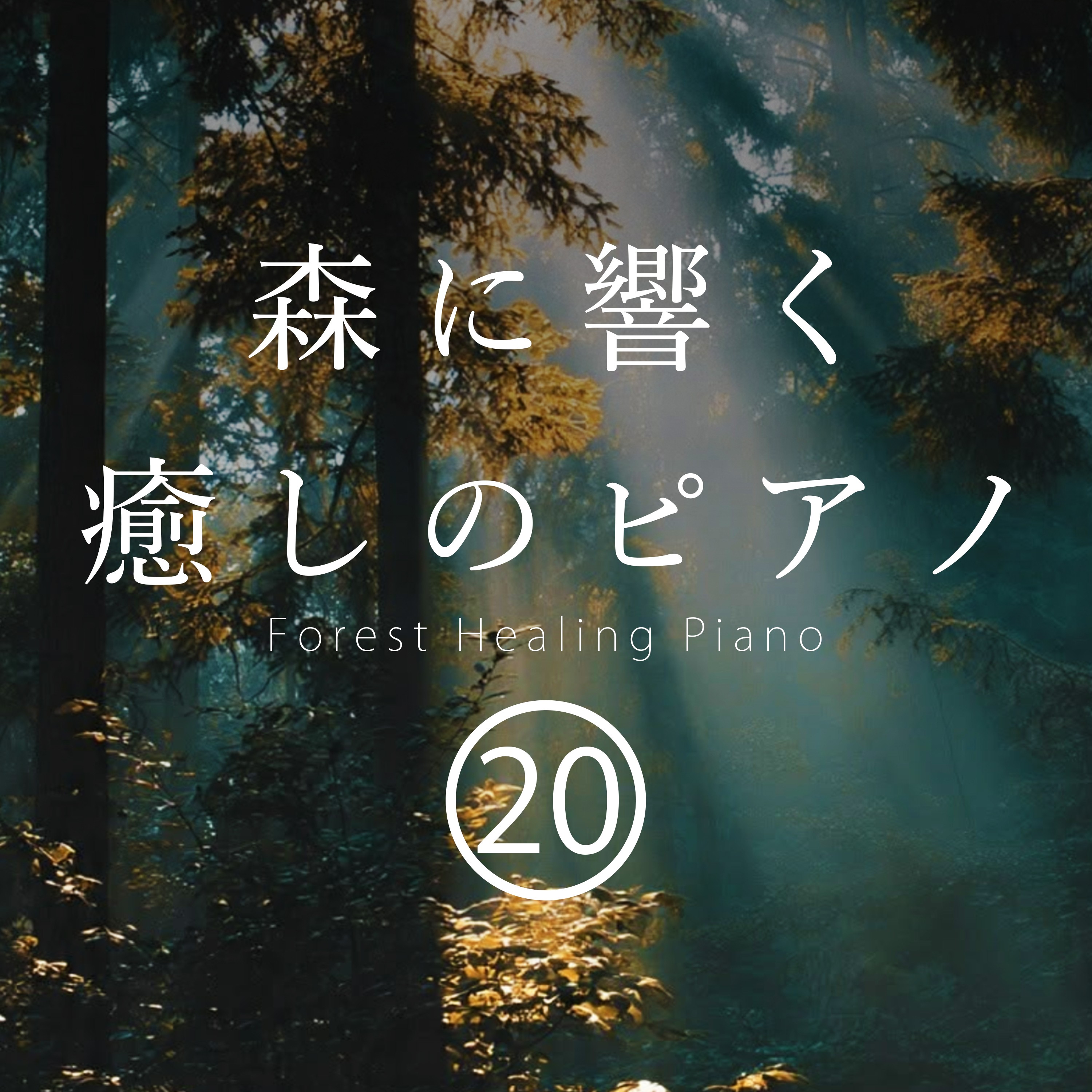 ジャケット写真