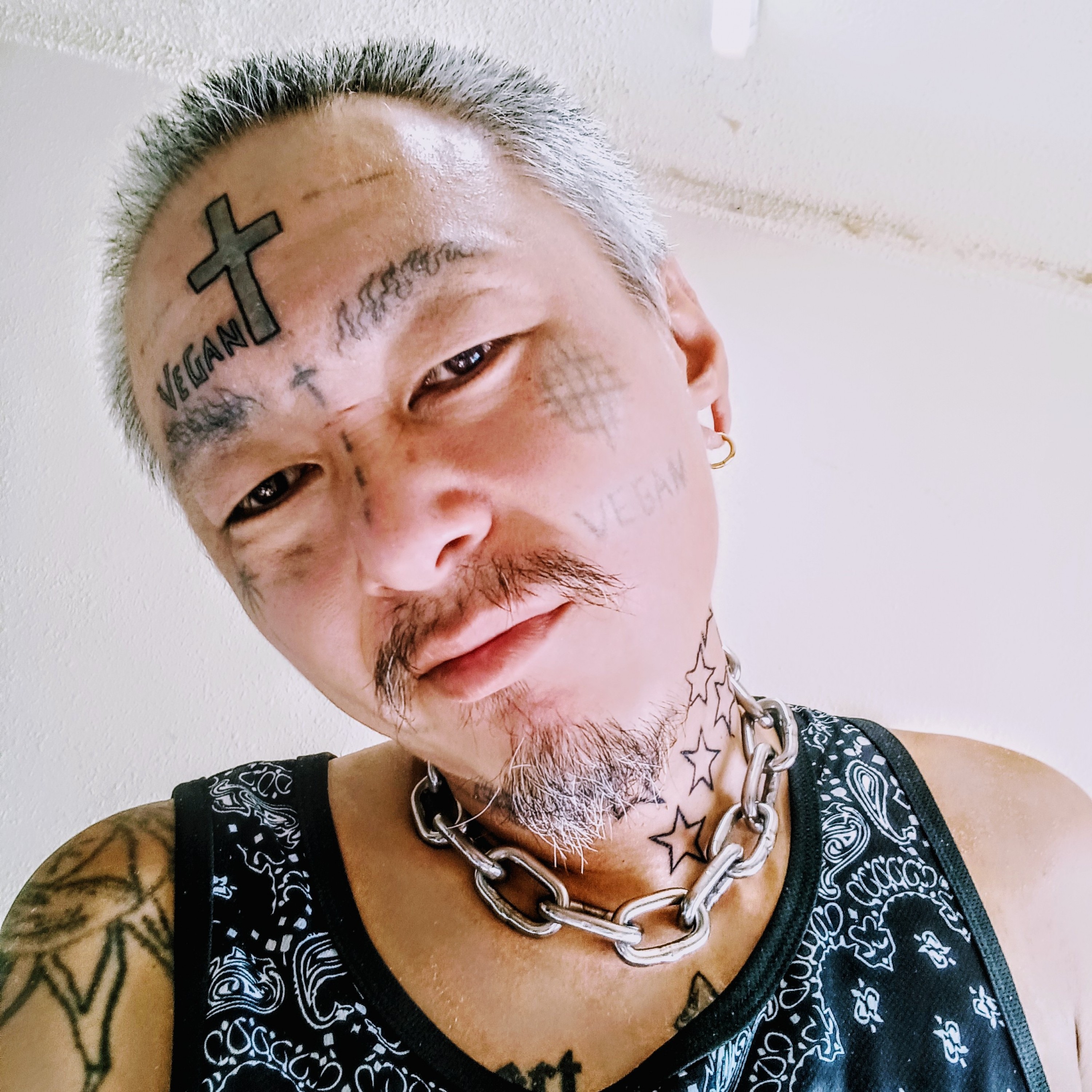 ジャケット写真