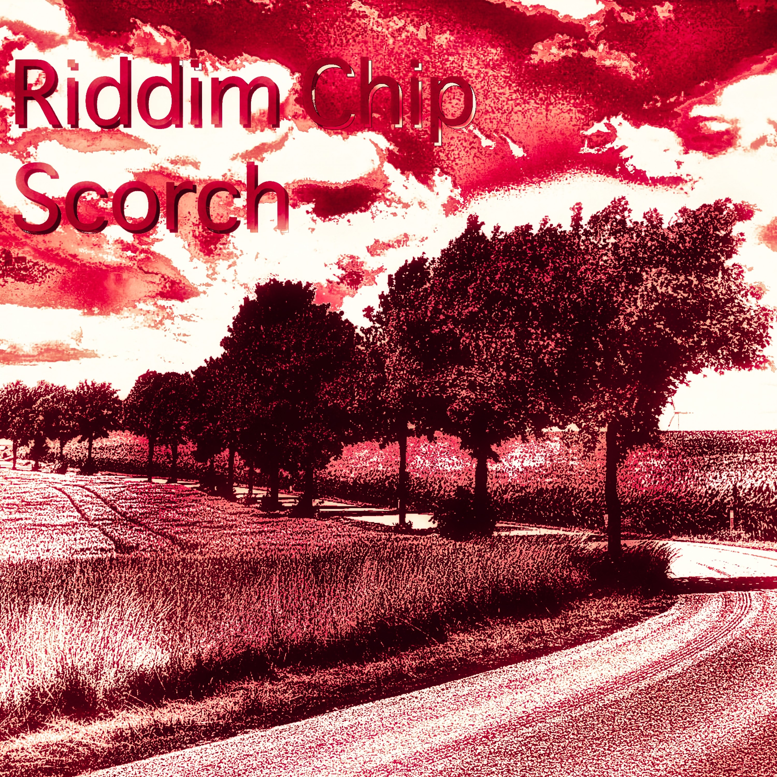 ジャケット写真