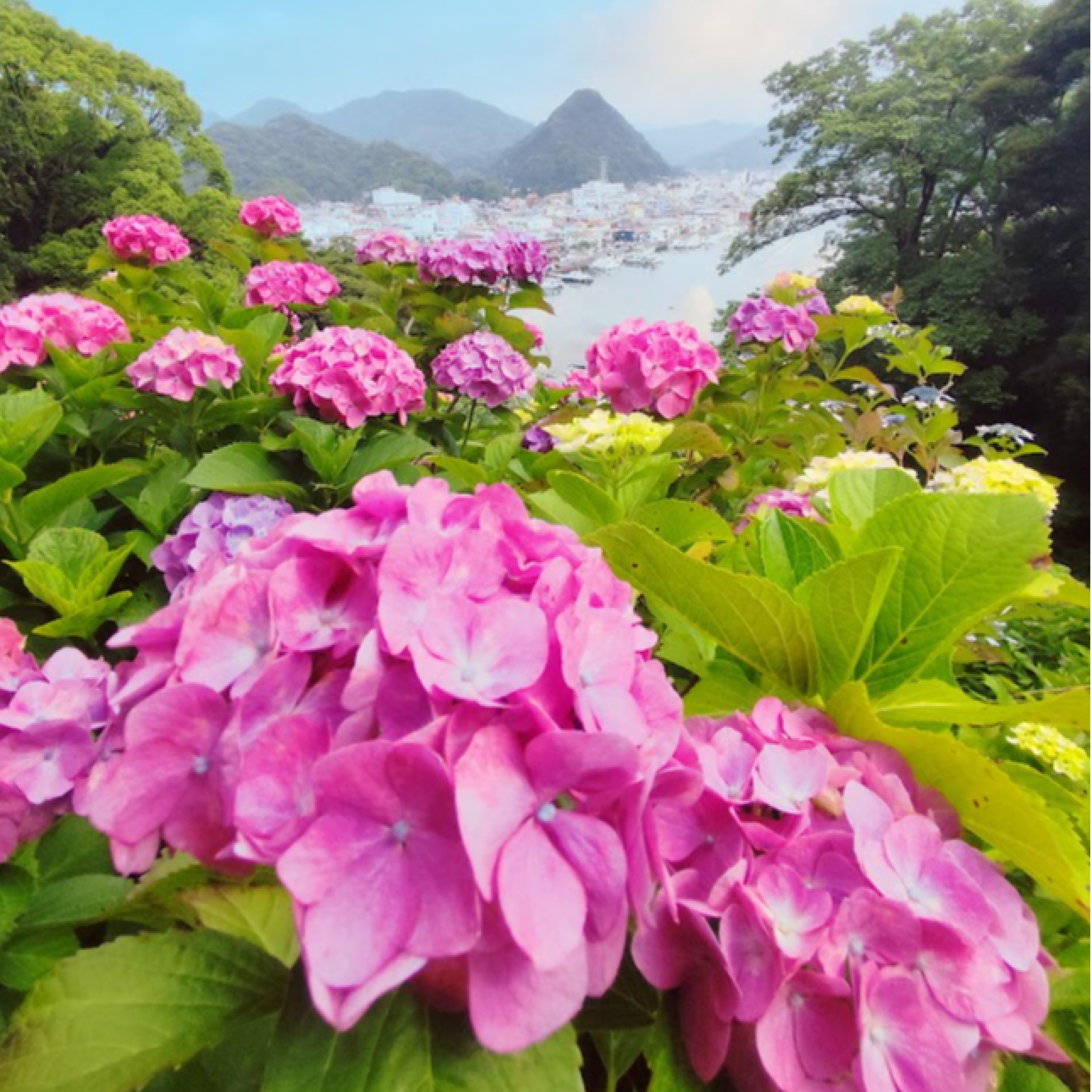 ジャケット写真