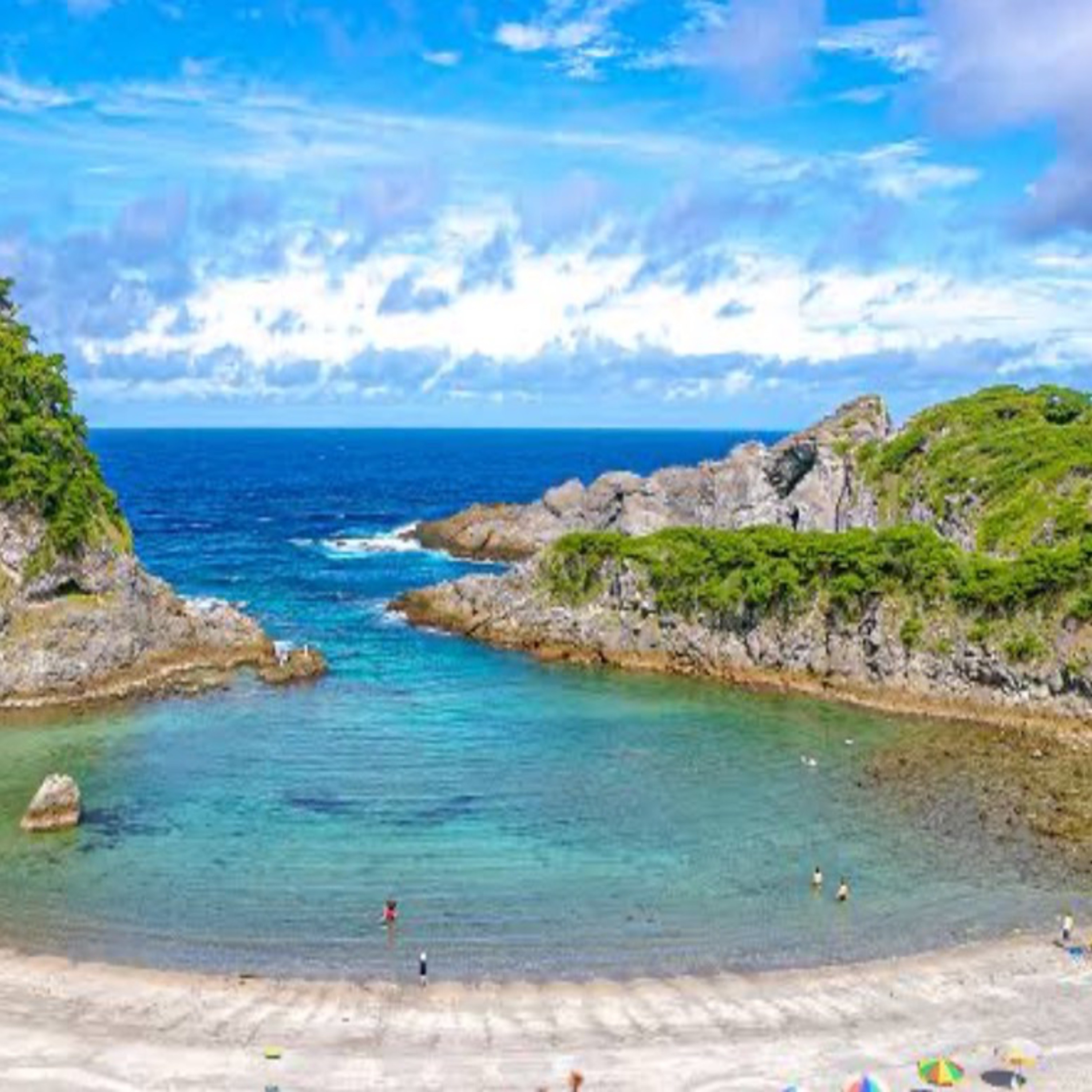 ジャケット写真