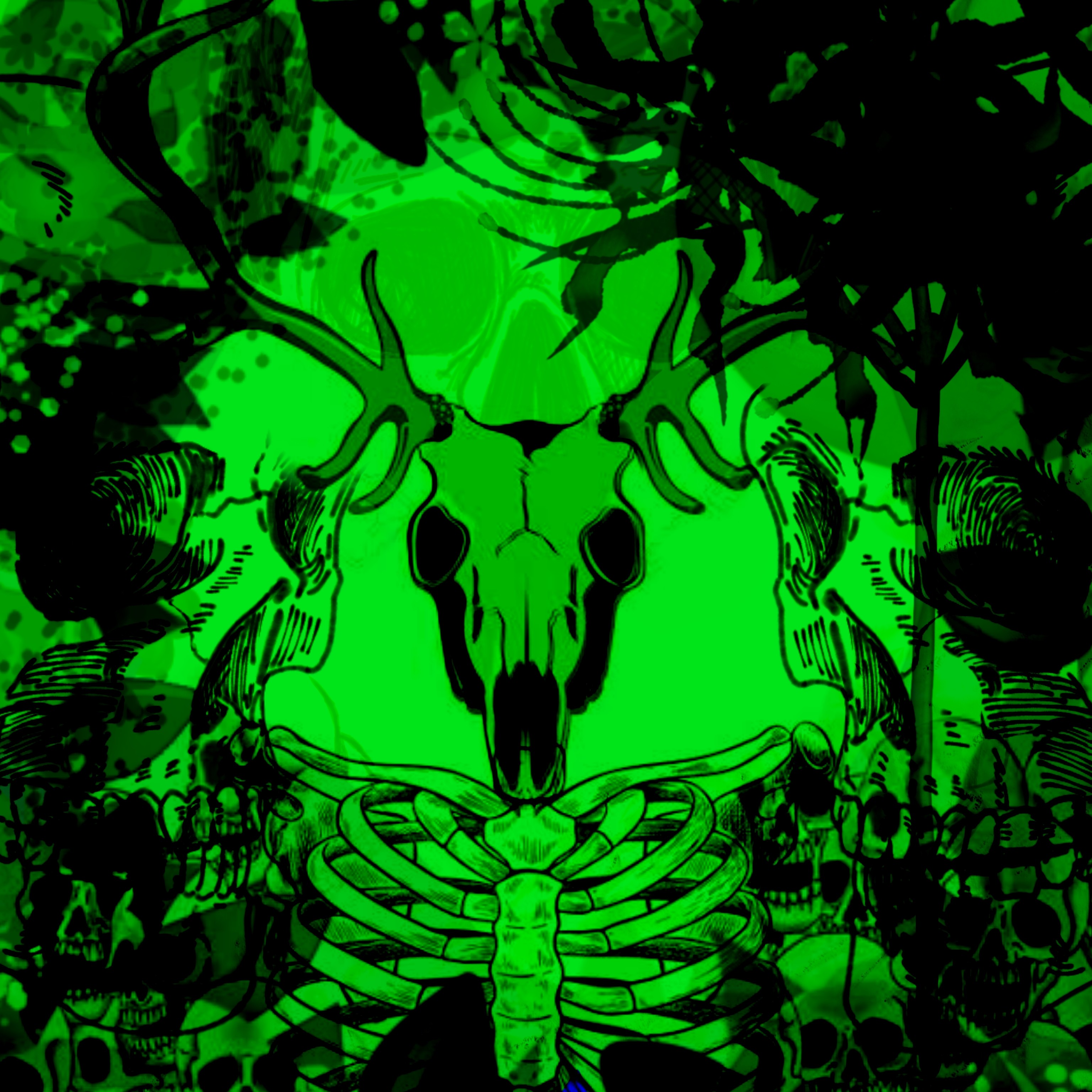 ジャケット写真