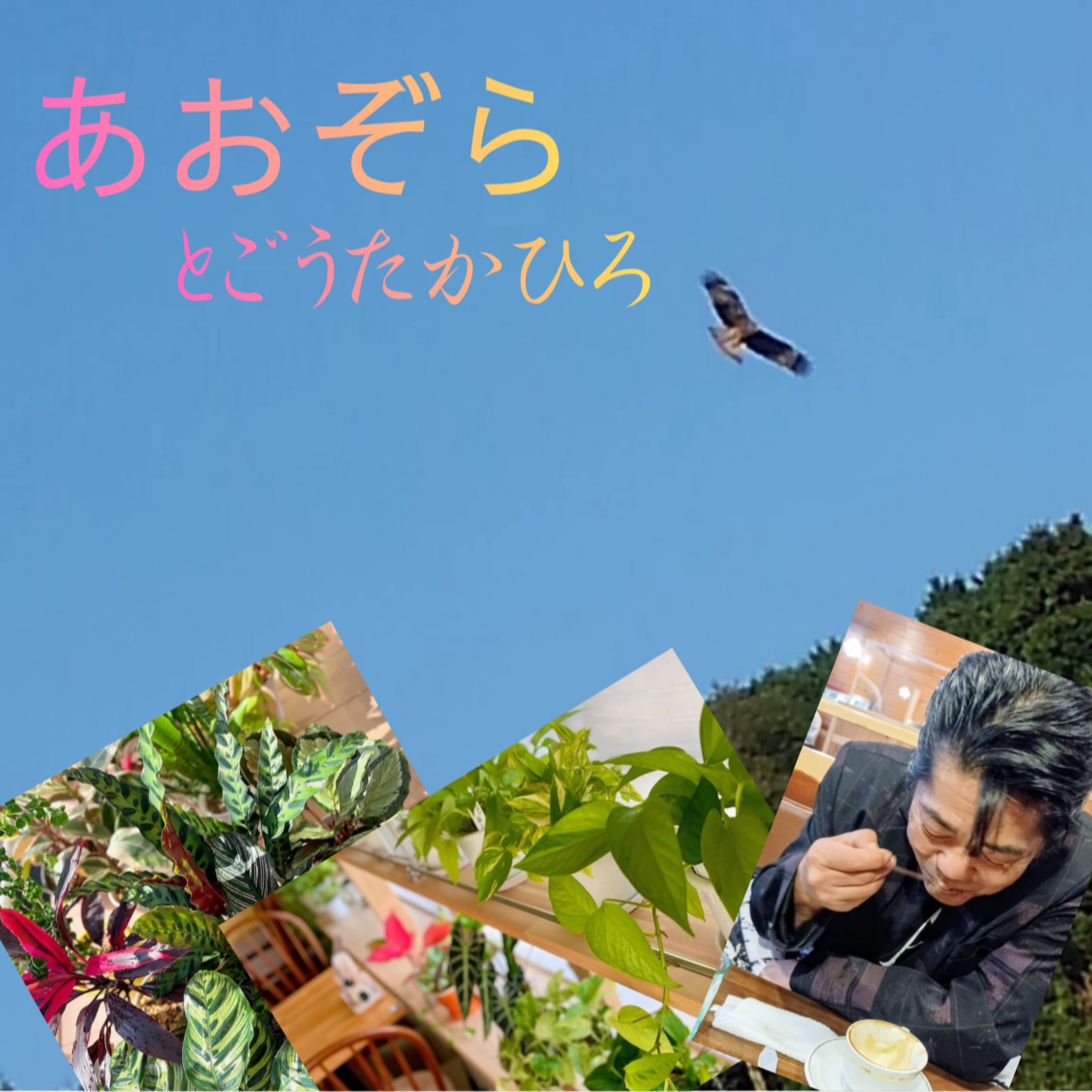 ジャケット写真