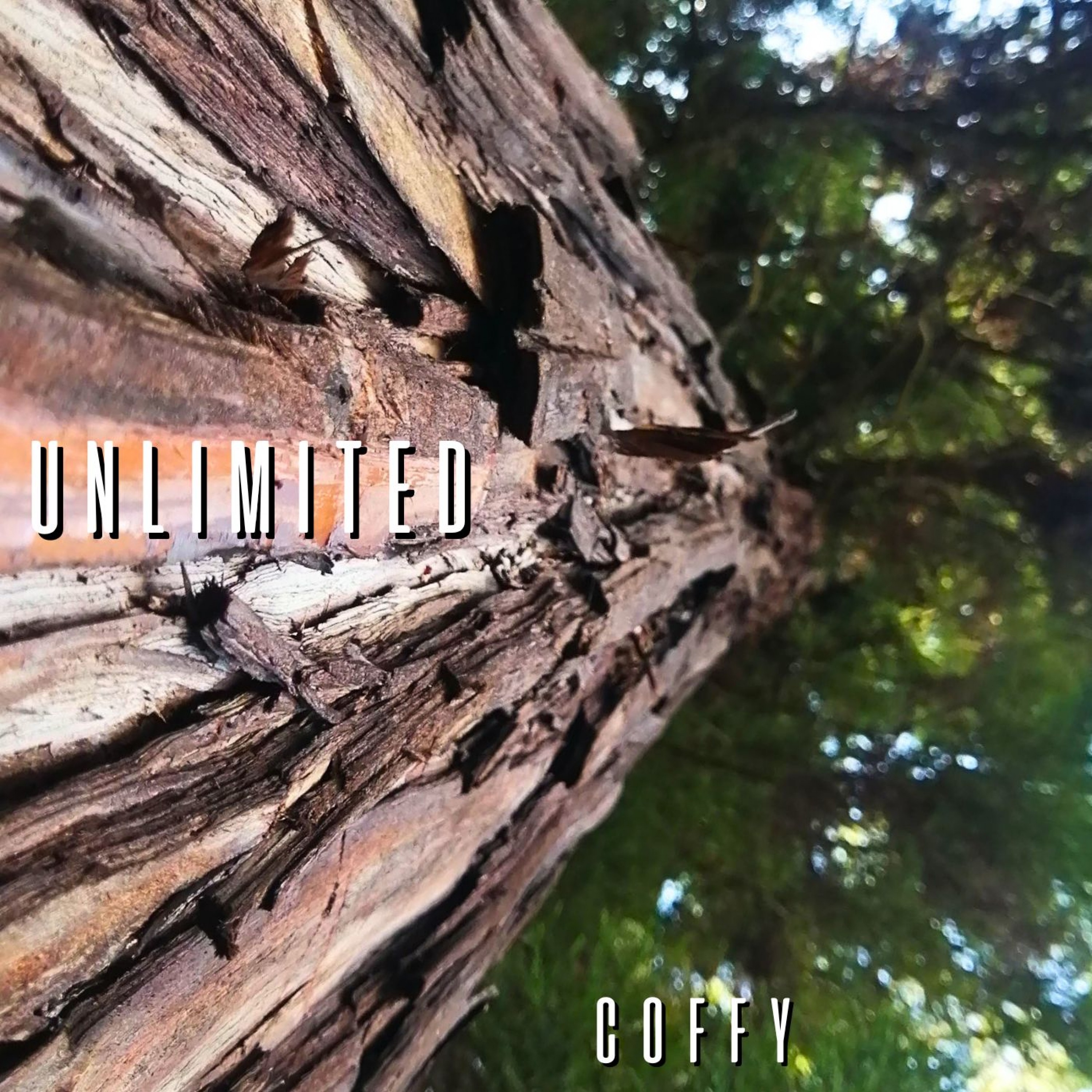 ジャケット写真