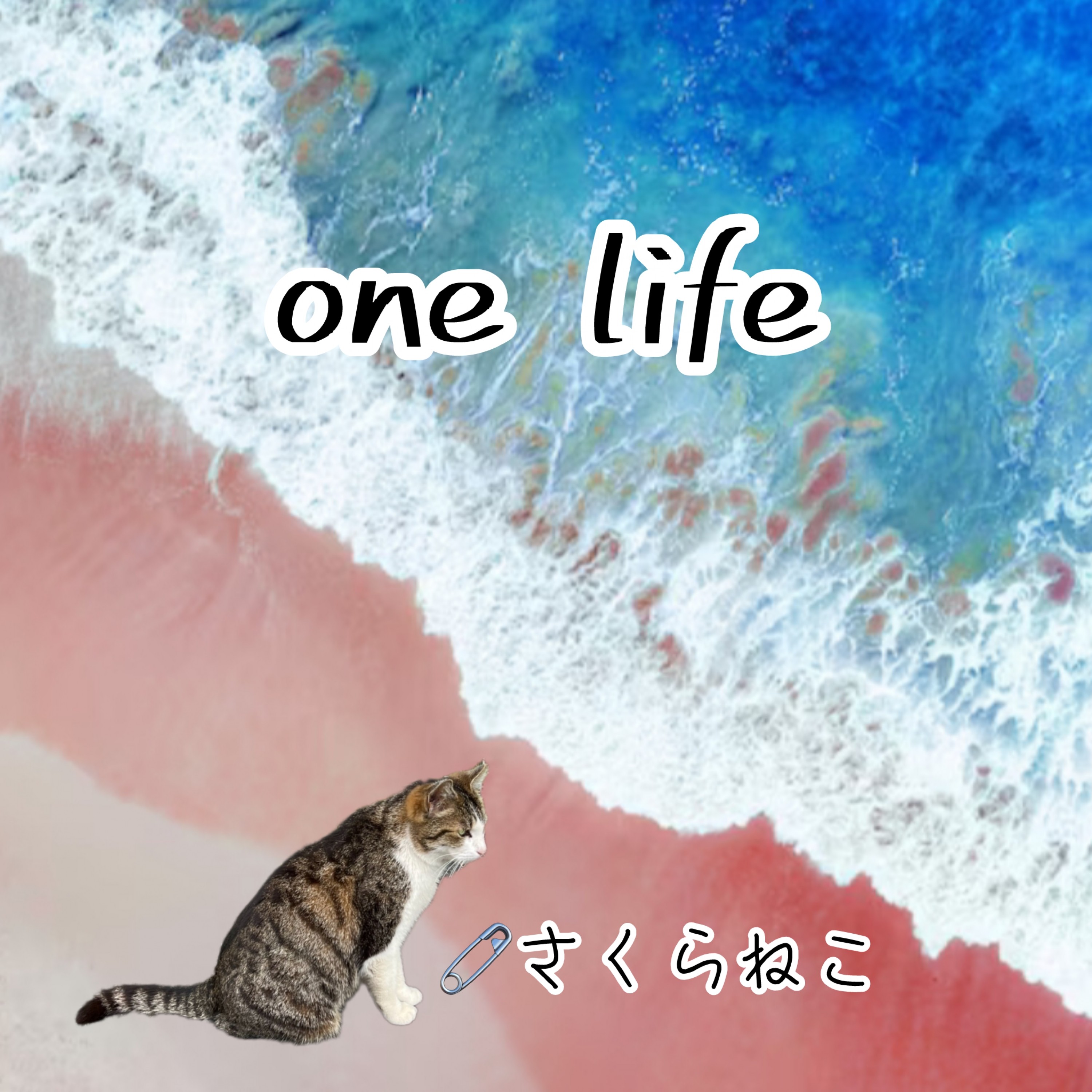 ジャケット写真