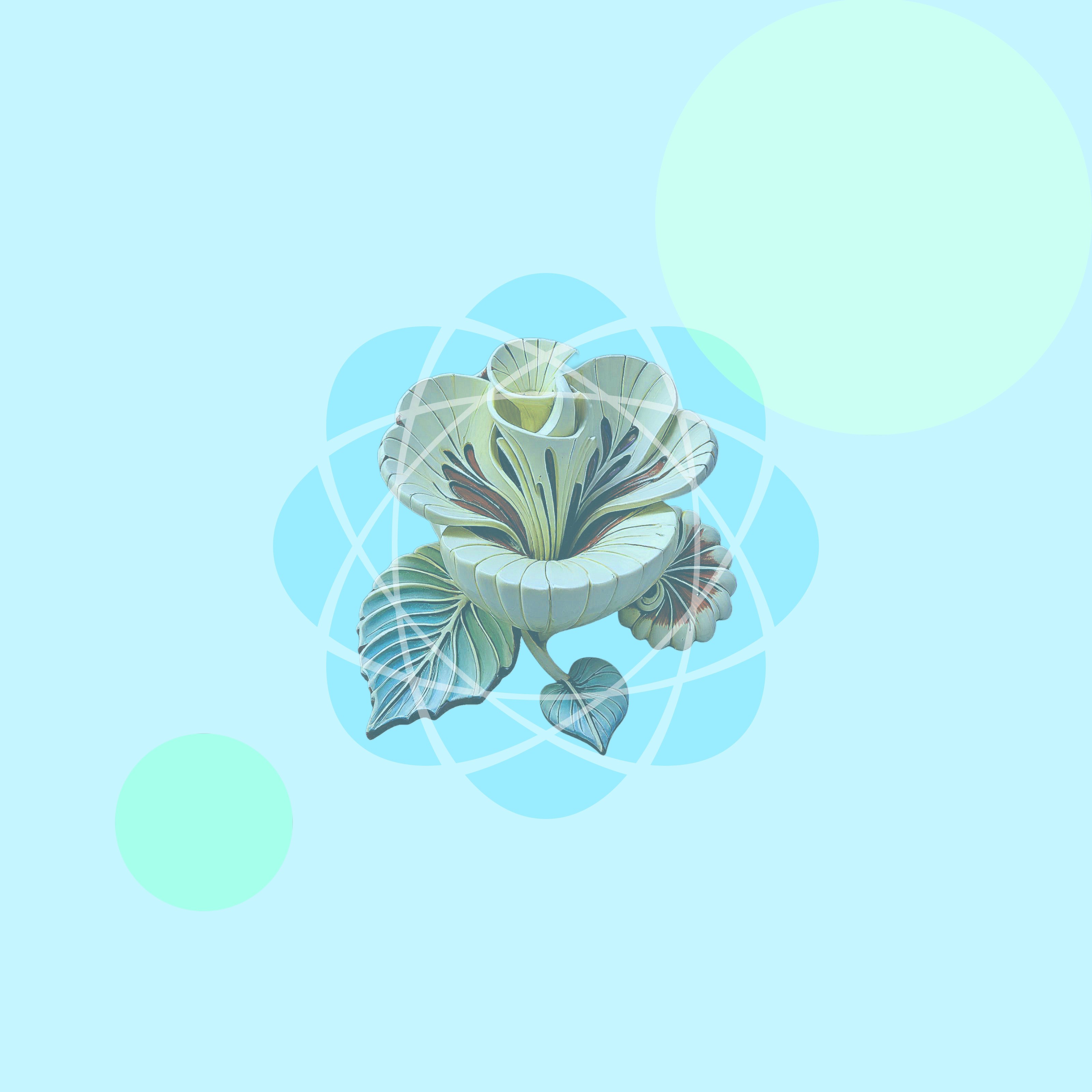 ジャケット写真