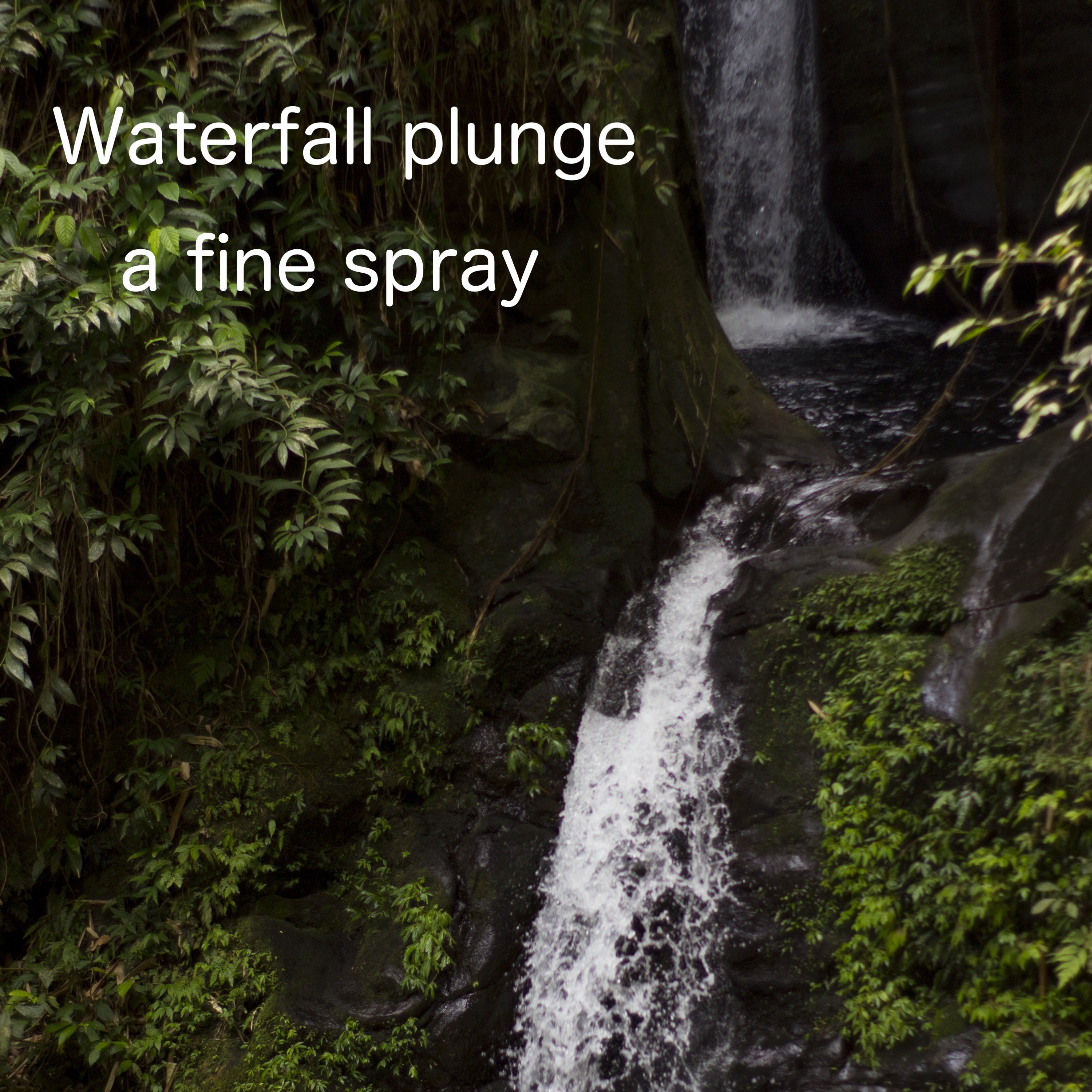 ジャケット写真