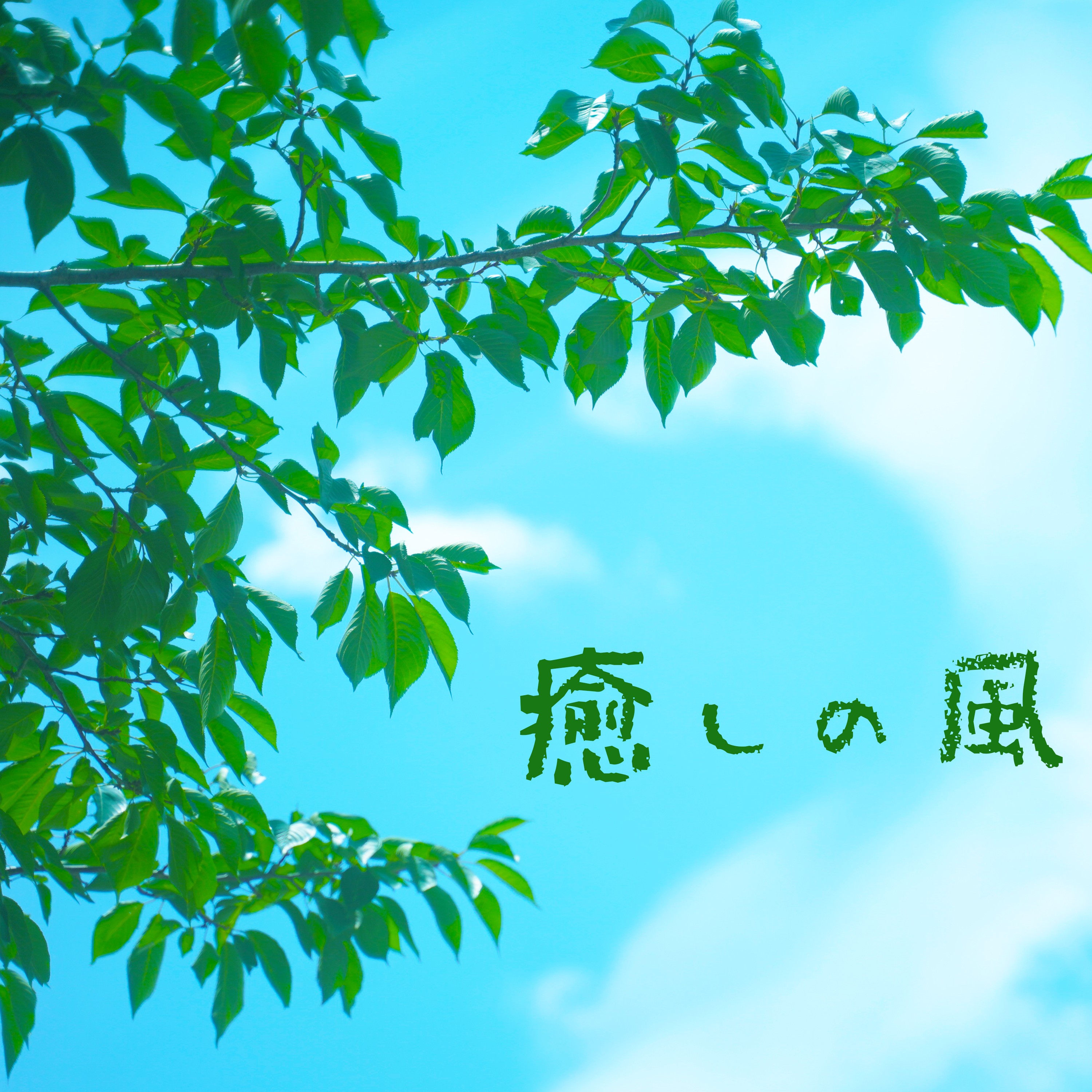 ジャケット写真