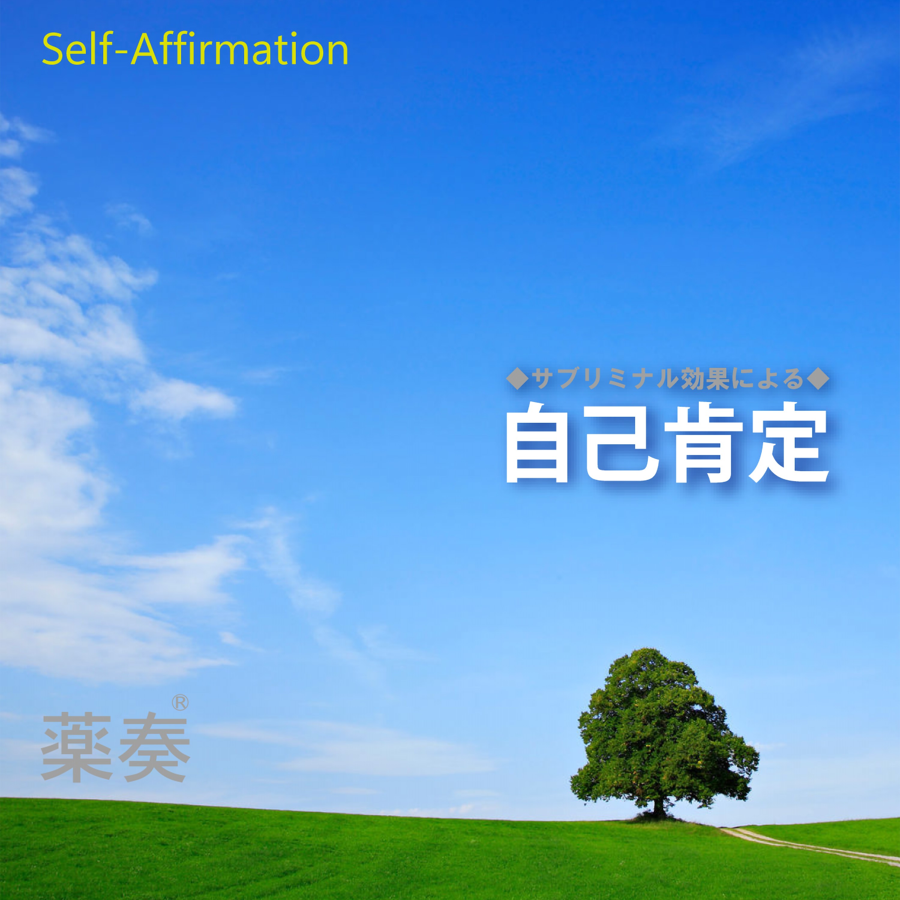 ジャケット写真