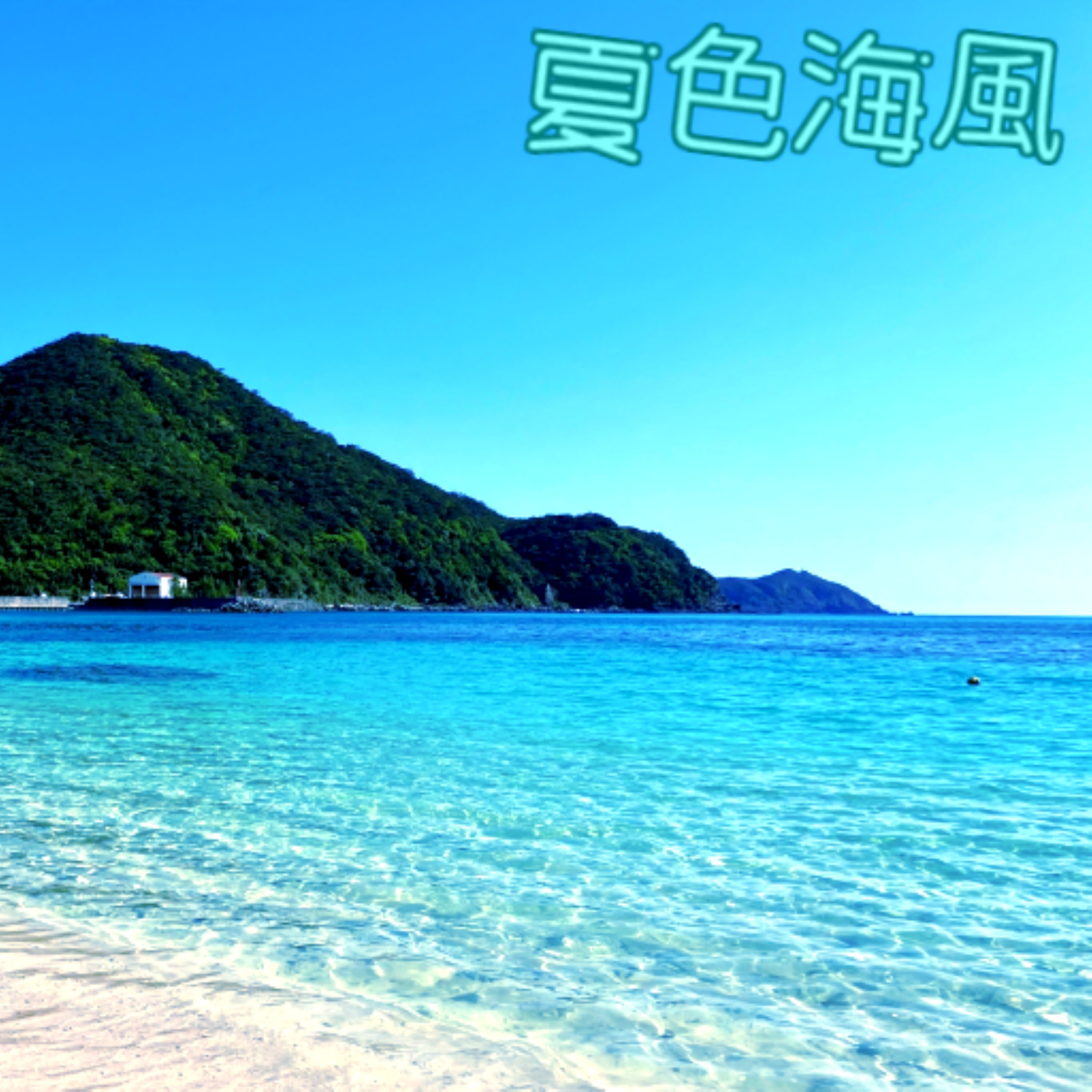 ジャケット写真