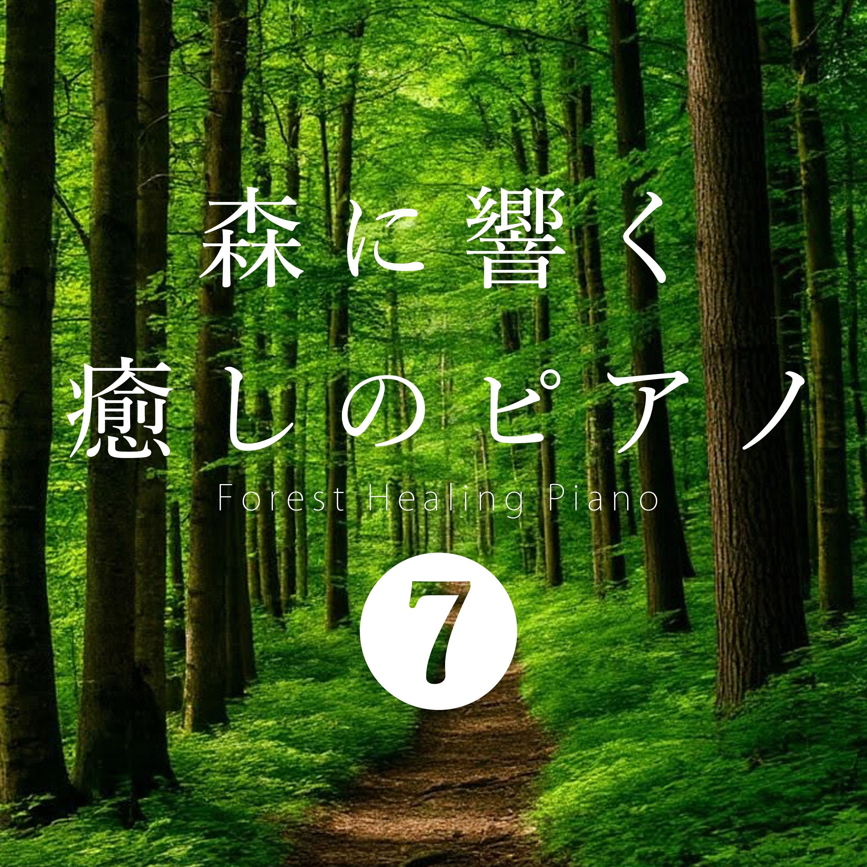 ジャケット写真