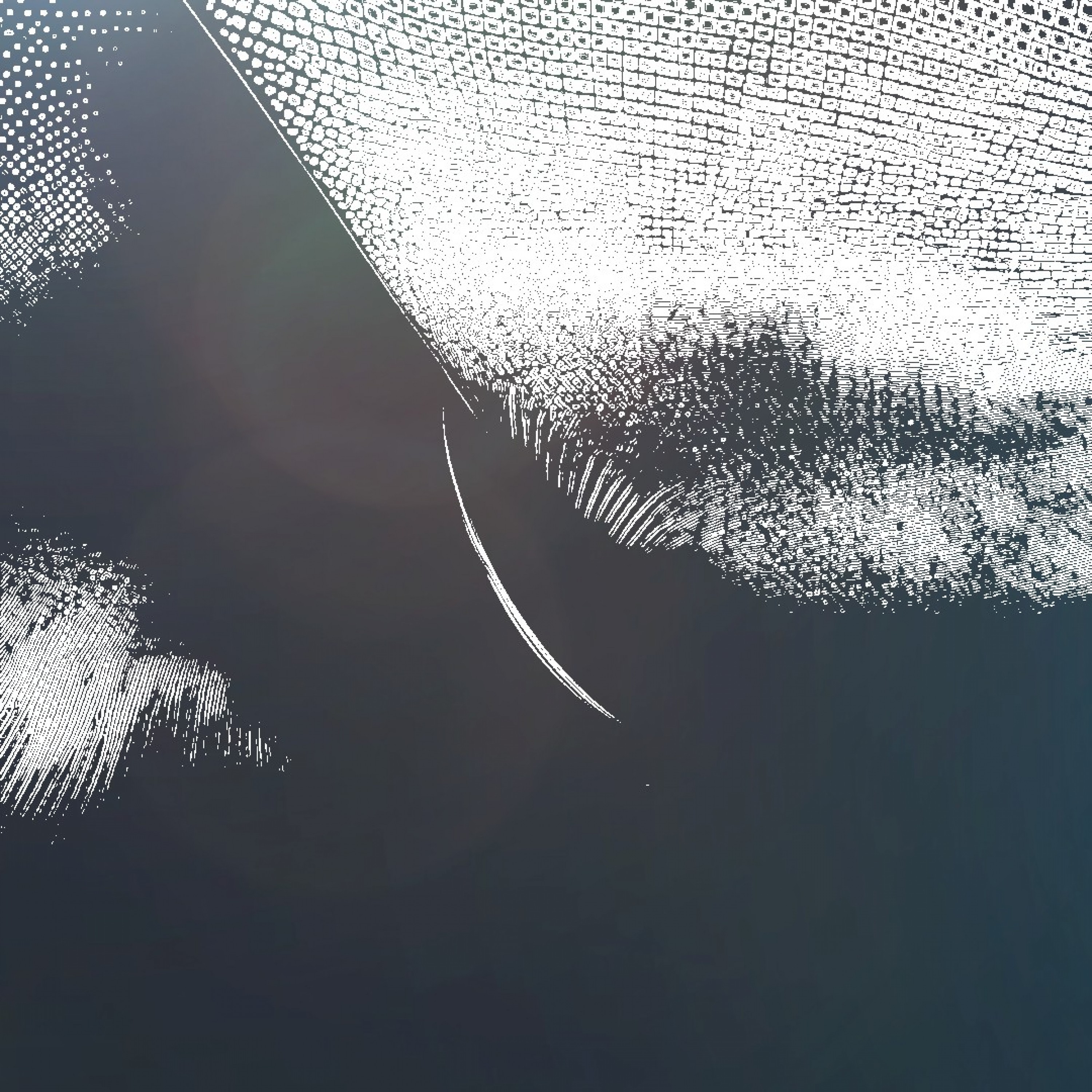 ジャケット写真