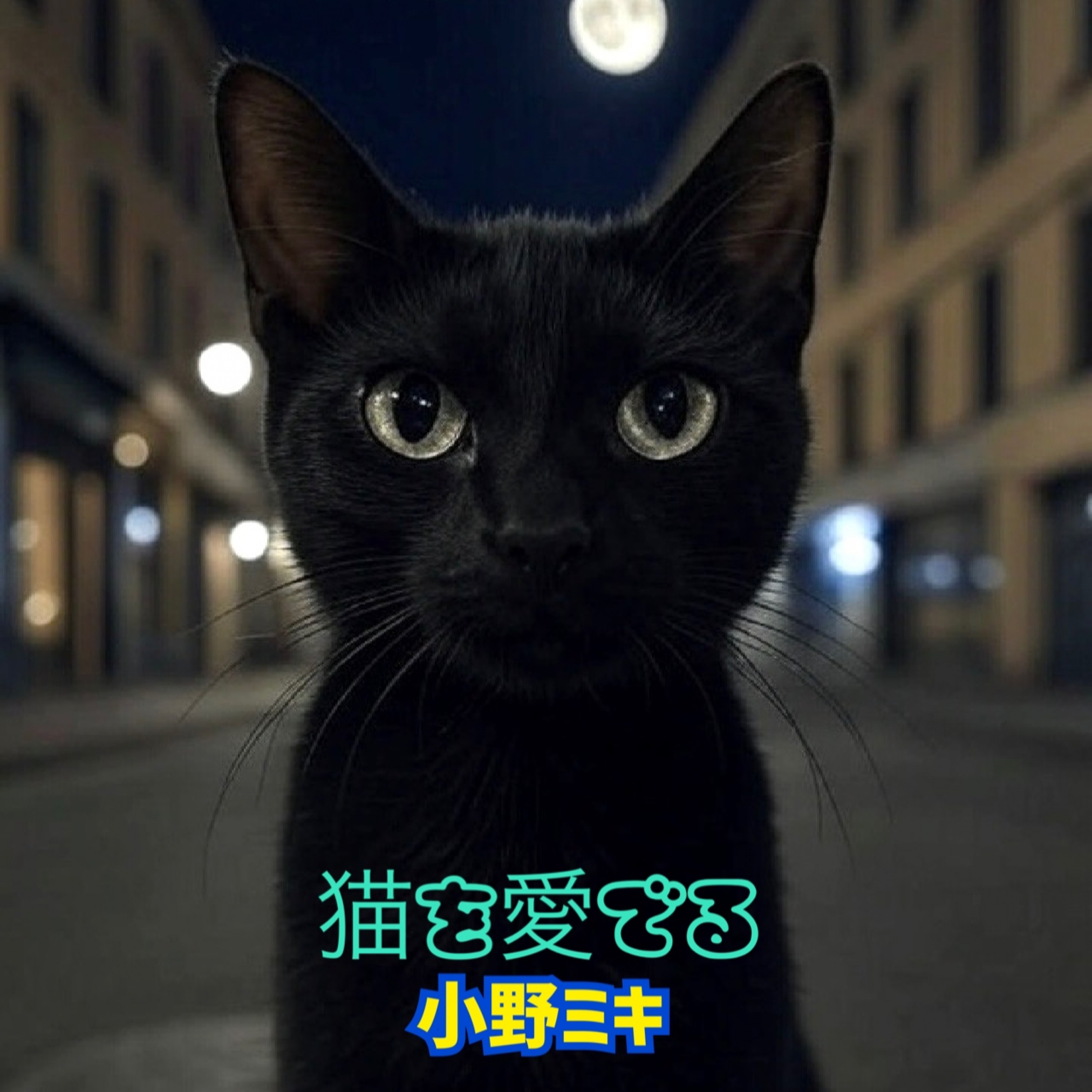 ジャケット写真