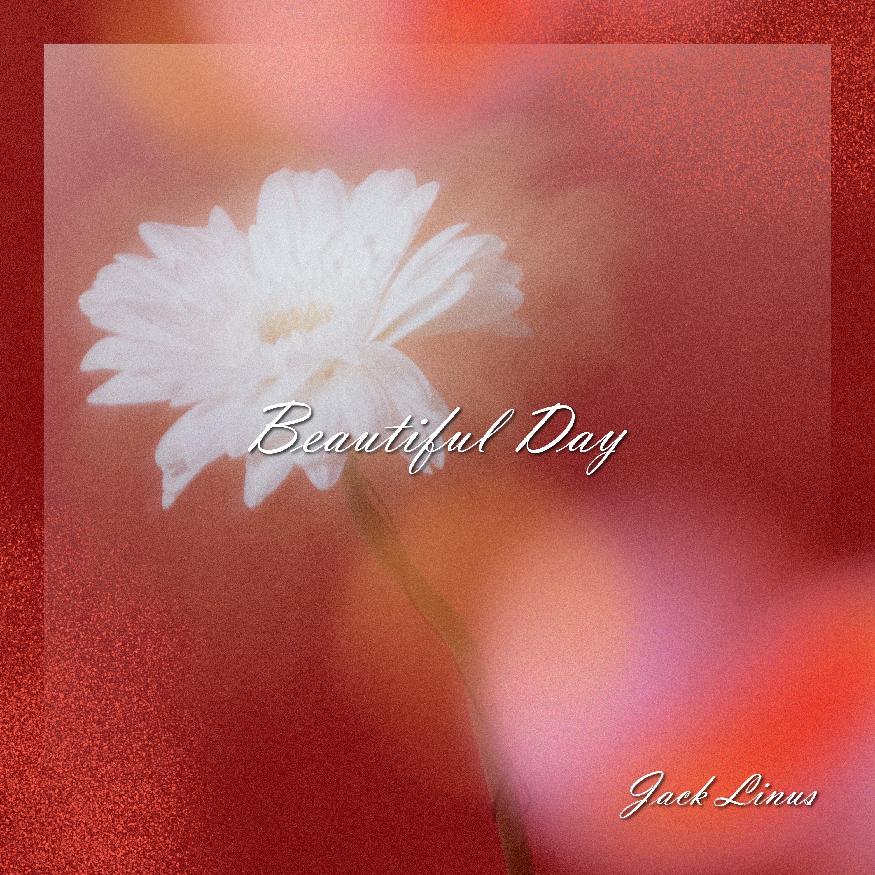 ジャケット写真