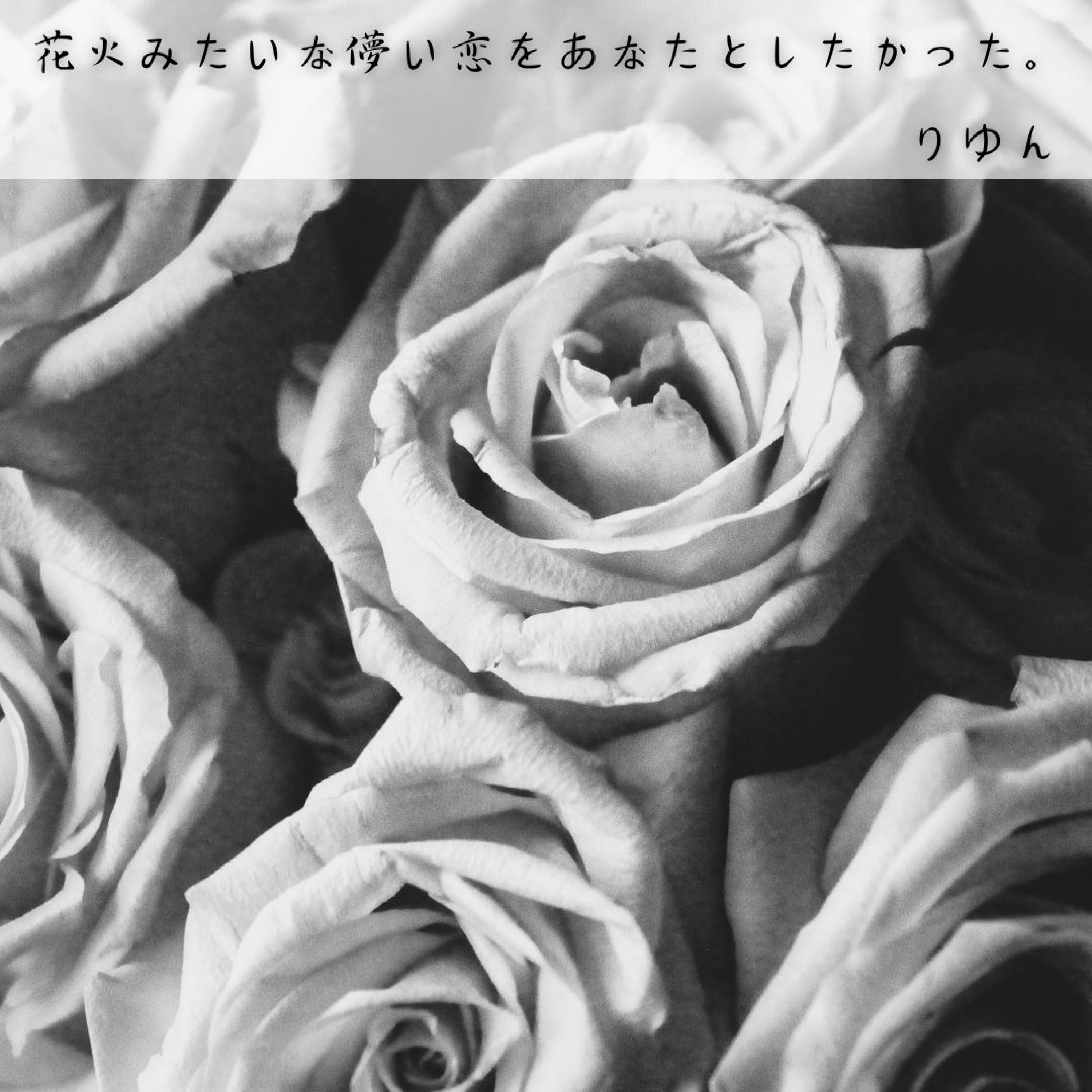 ジャケット写真
