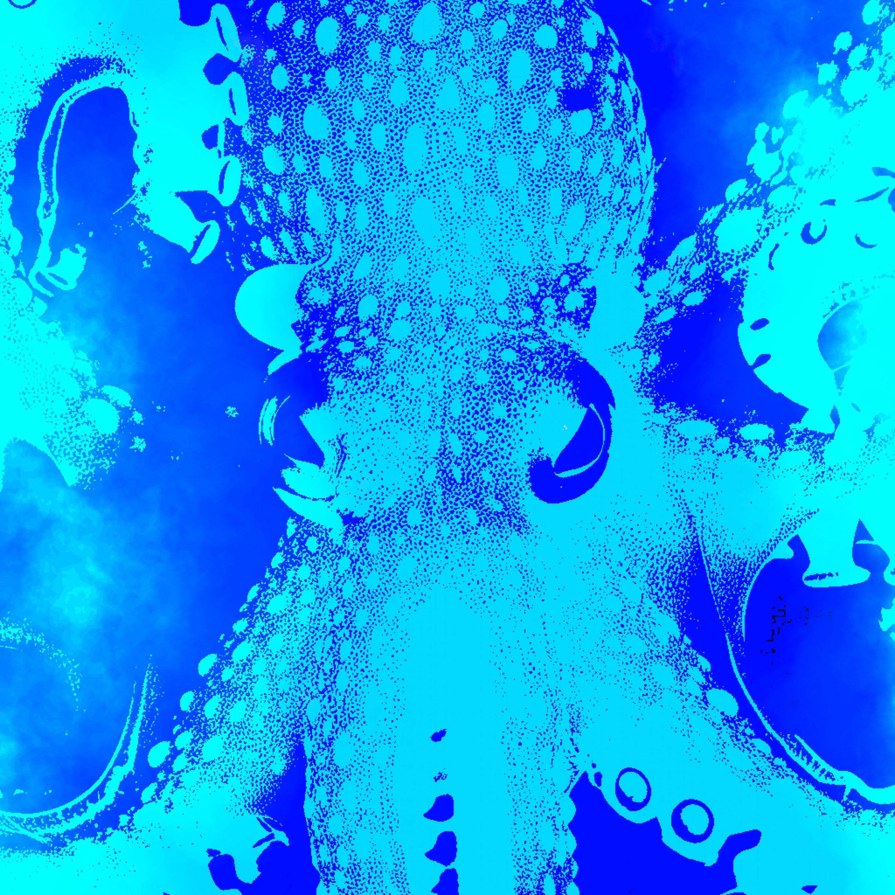 ジャケット写真