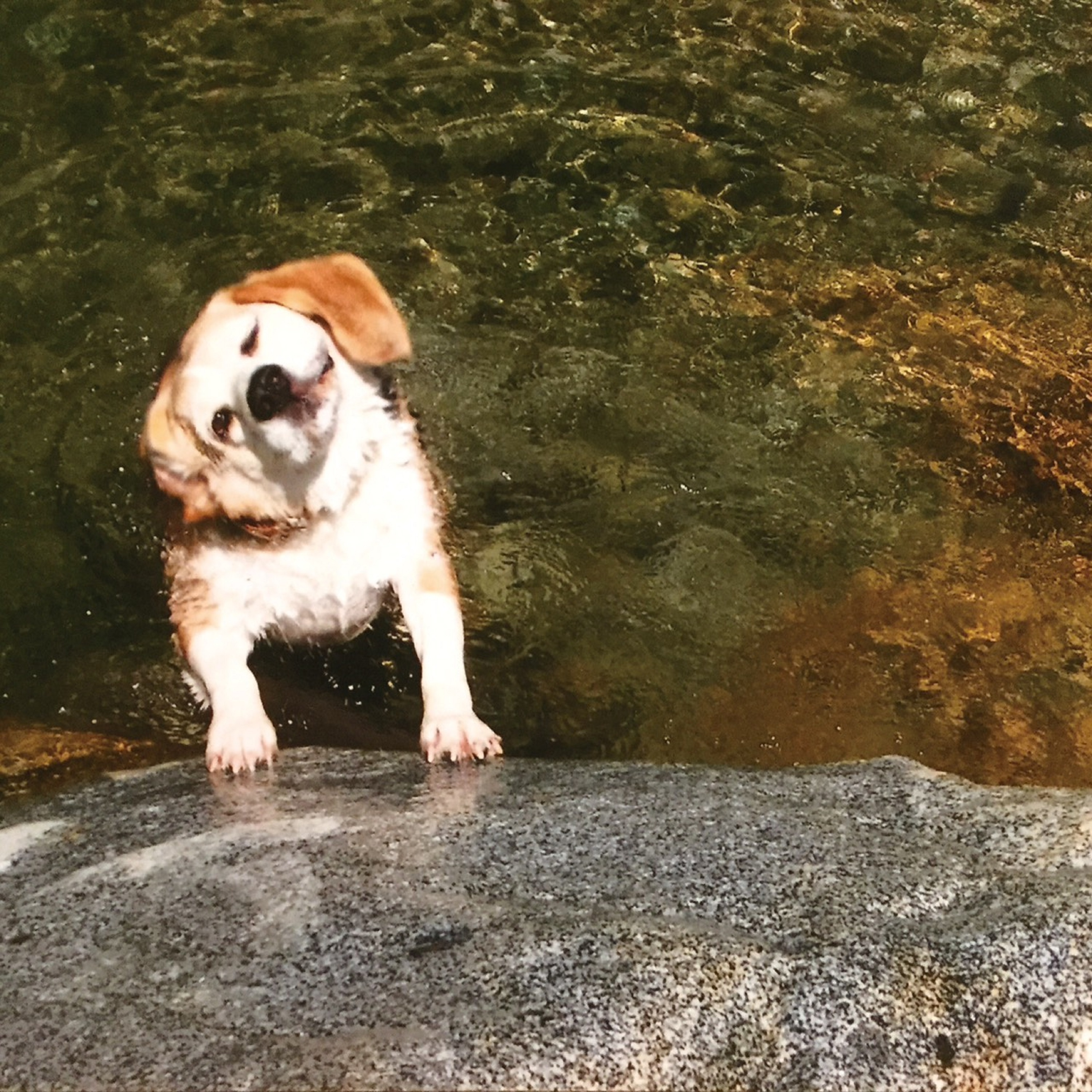 ジャケット写真