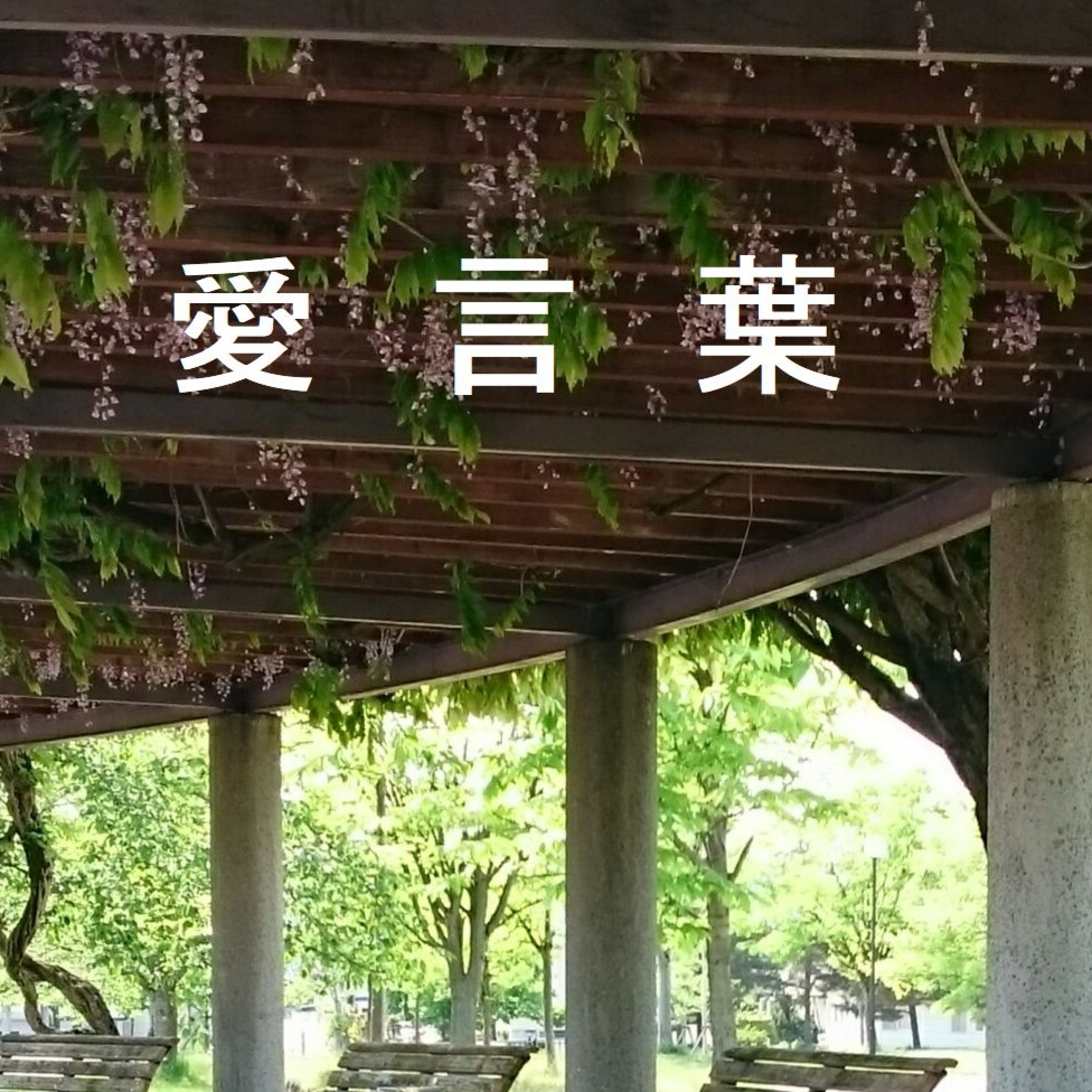 ジャケット写真