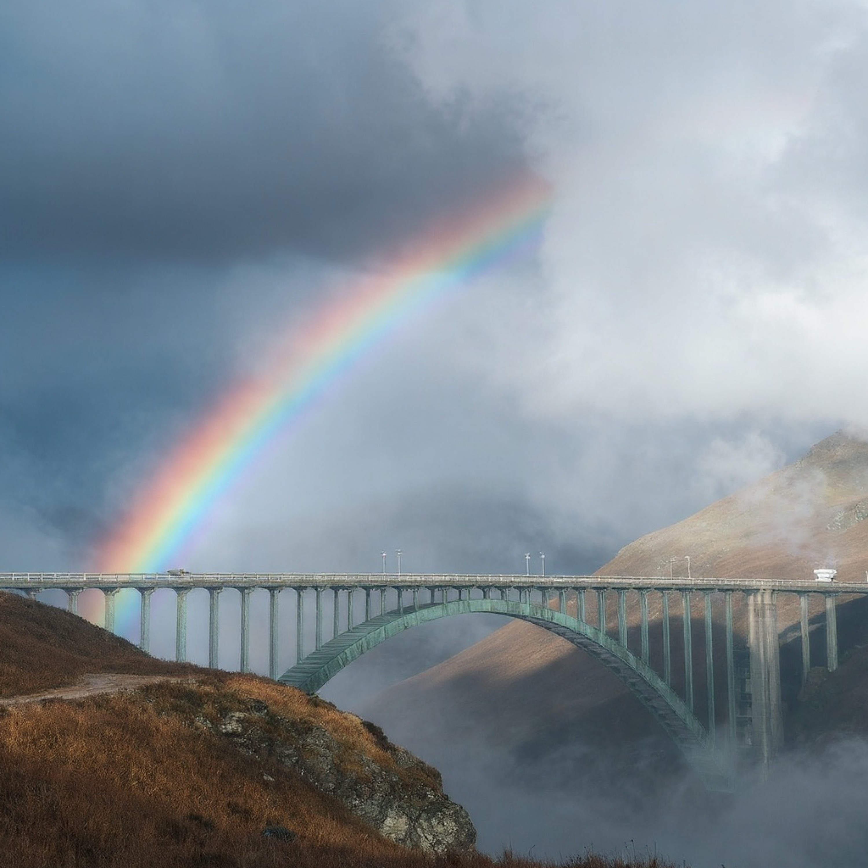 ジャケット写真