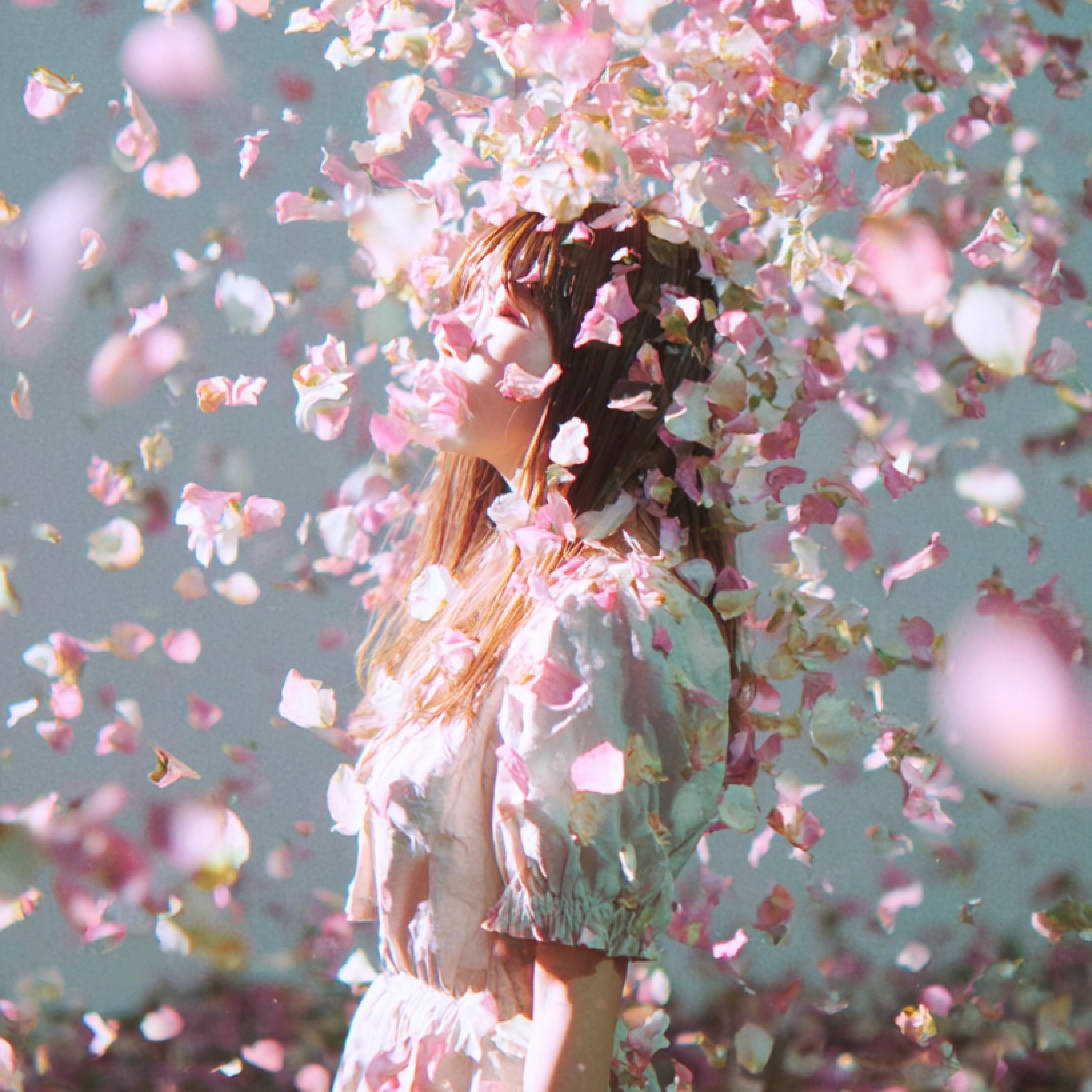 ジャケット写真