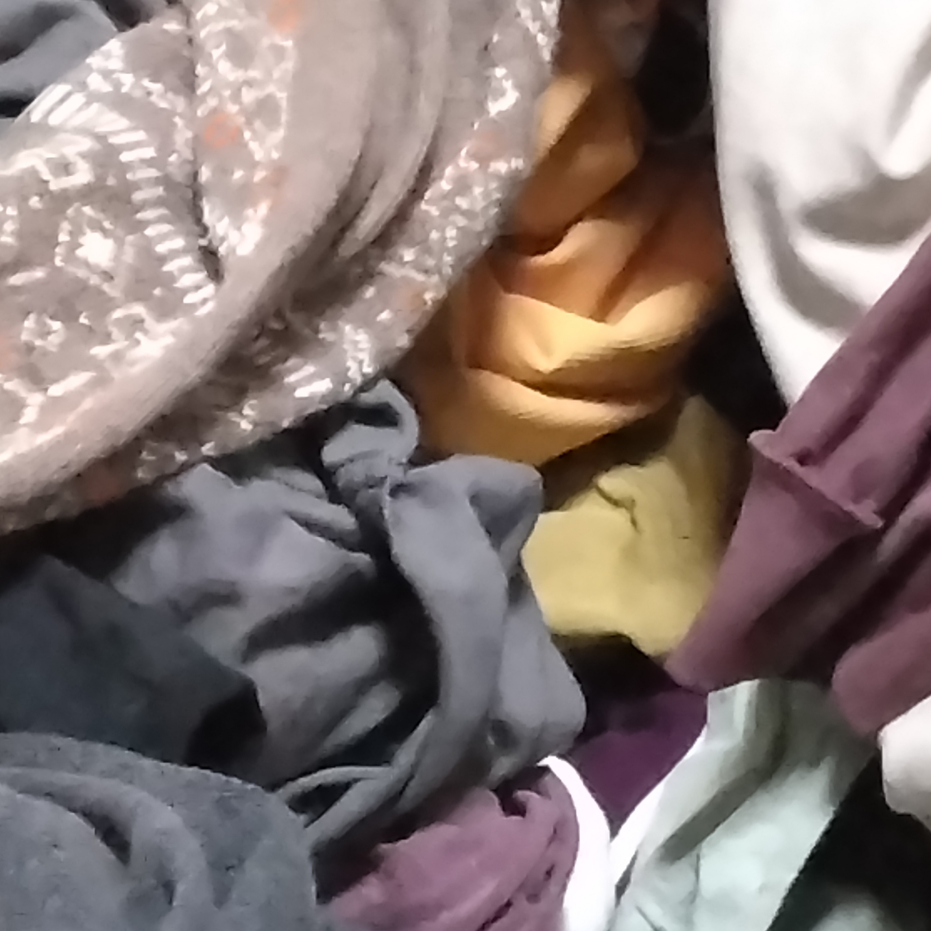 ジャケット写真