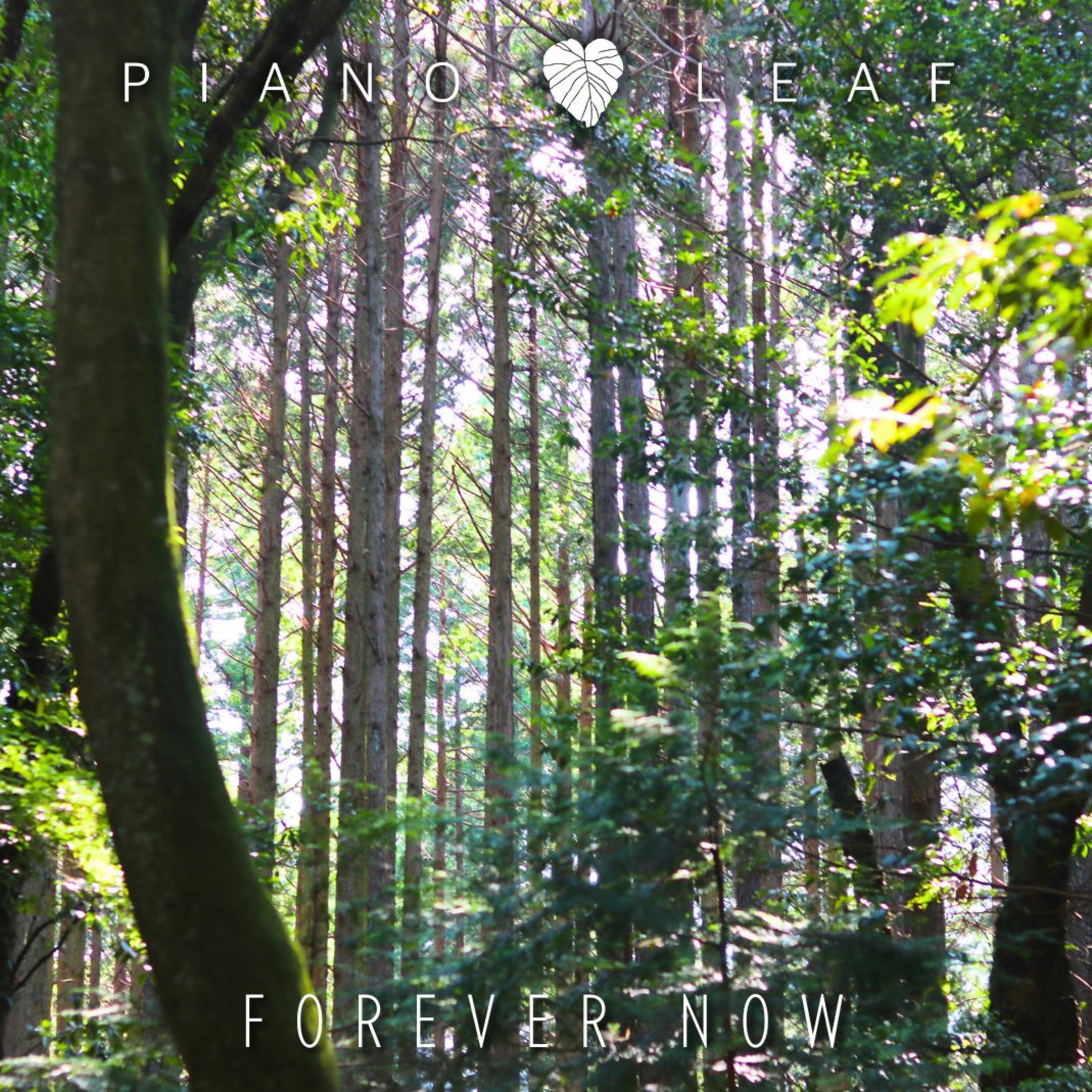 ジャケット写真