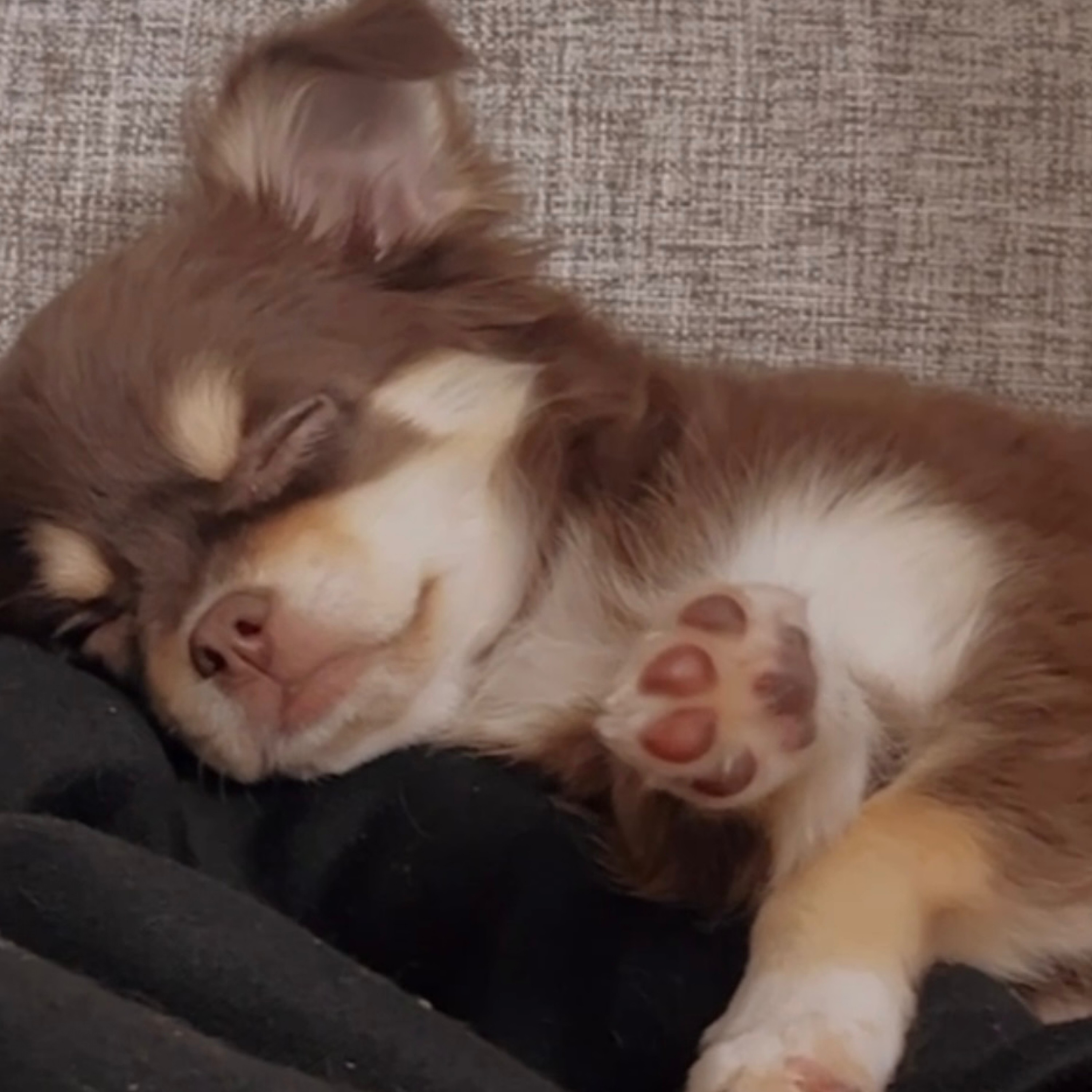 ジャケット写真