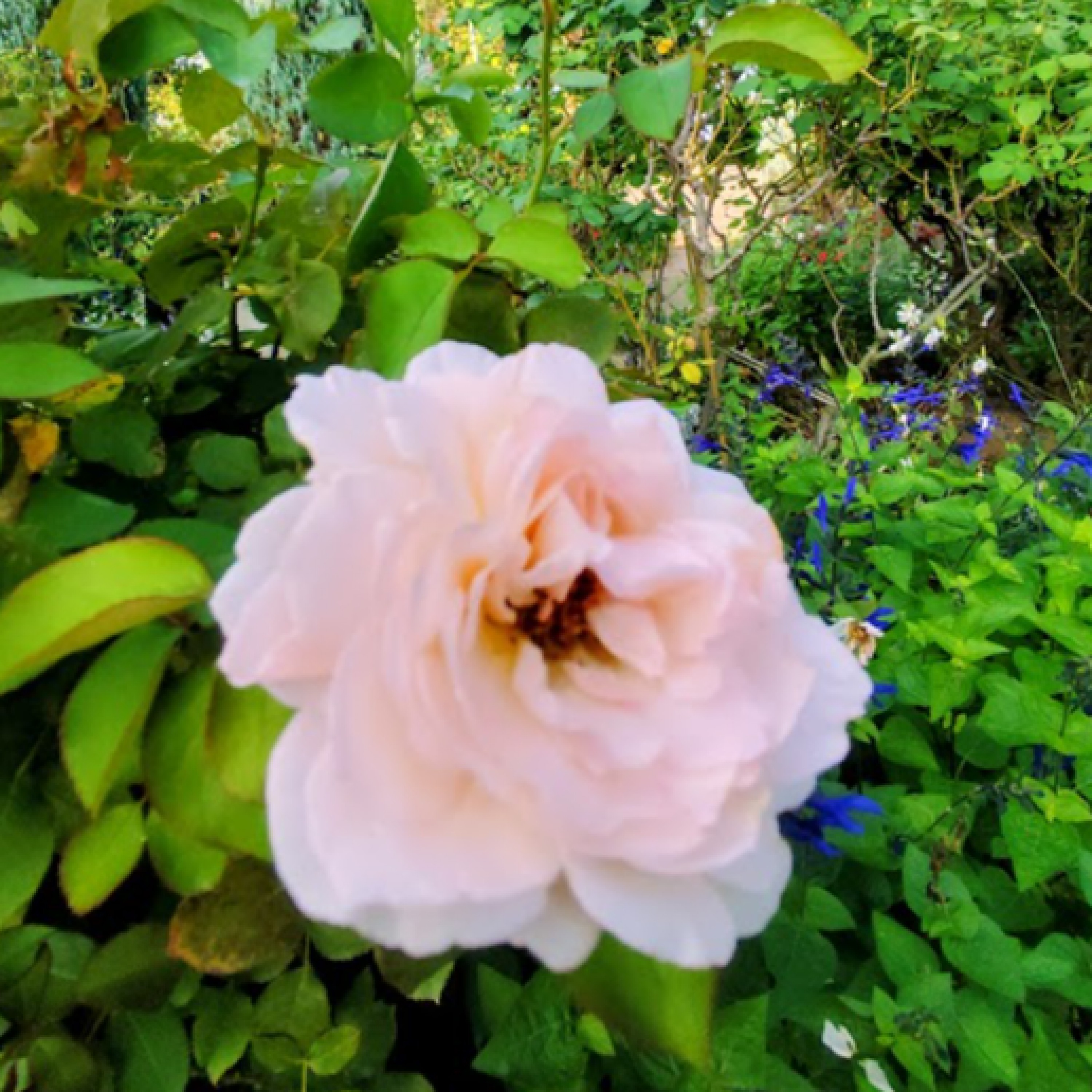 ジャケット写真