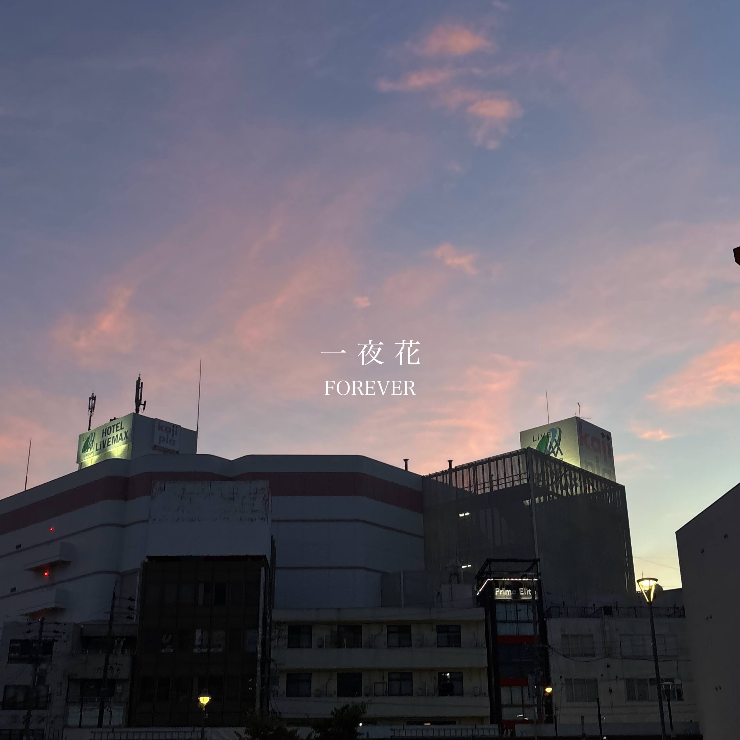 ジャケット写真