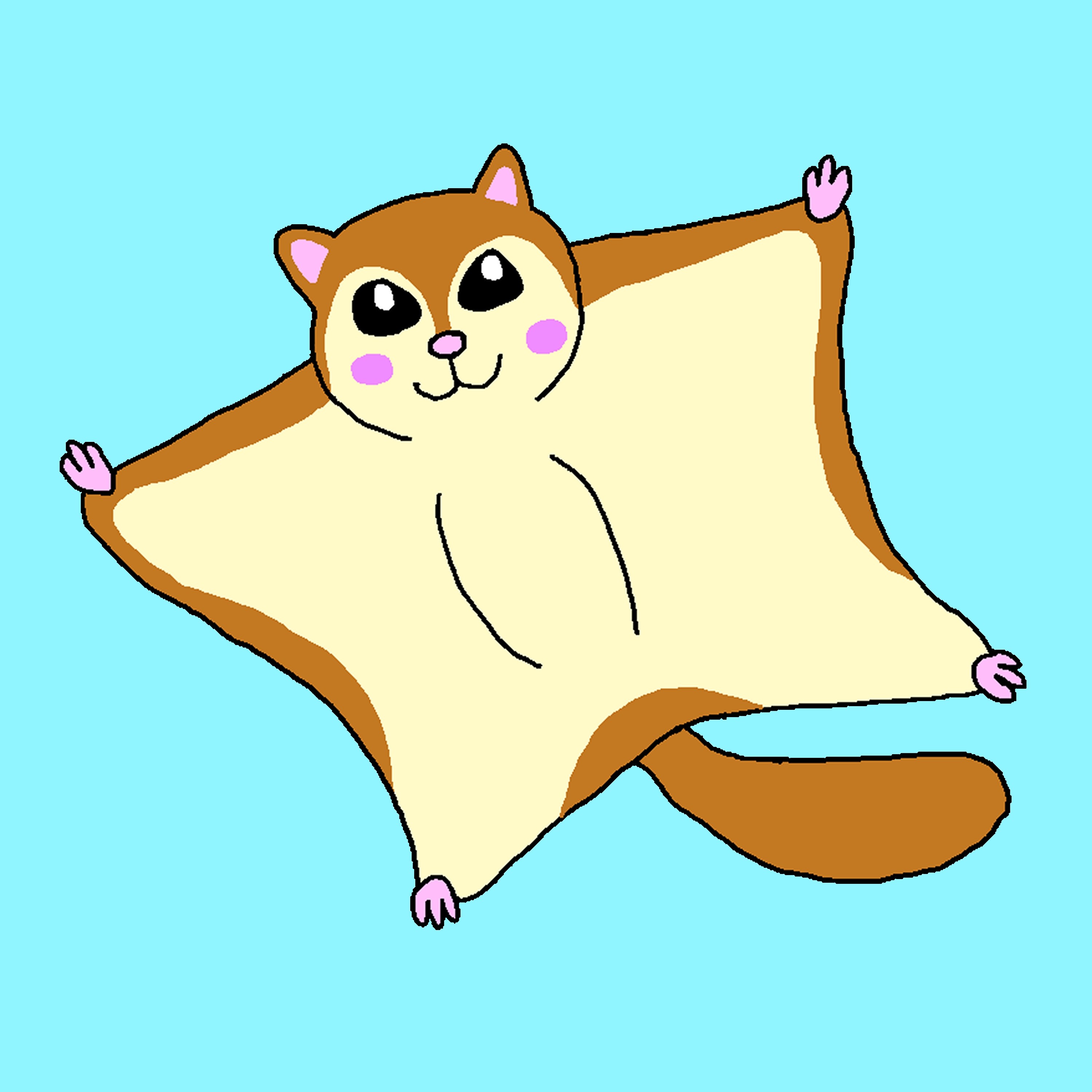 ジャケット写真