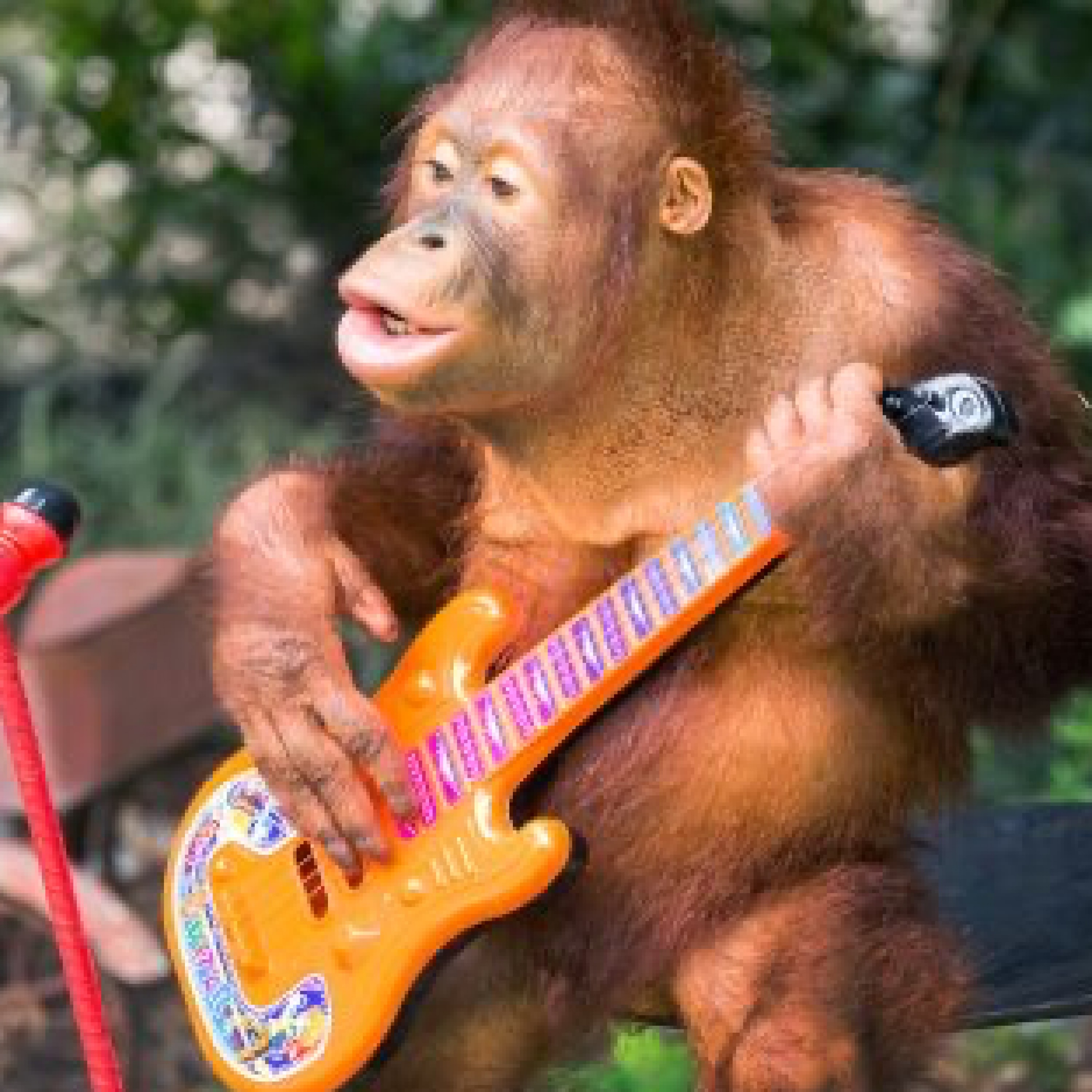 ジャケット写真