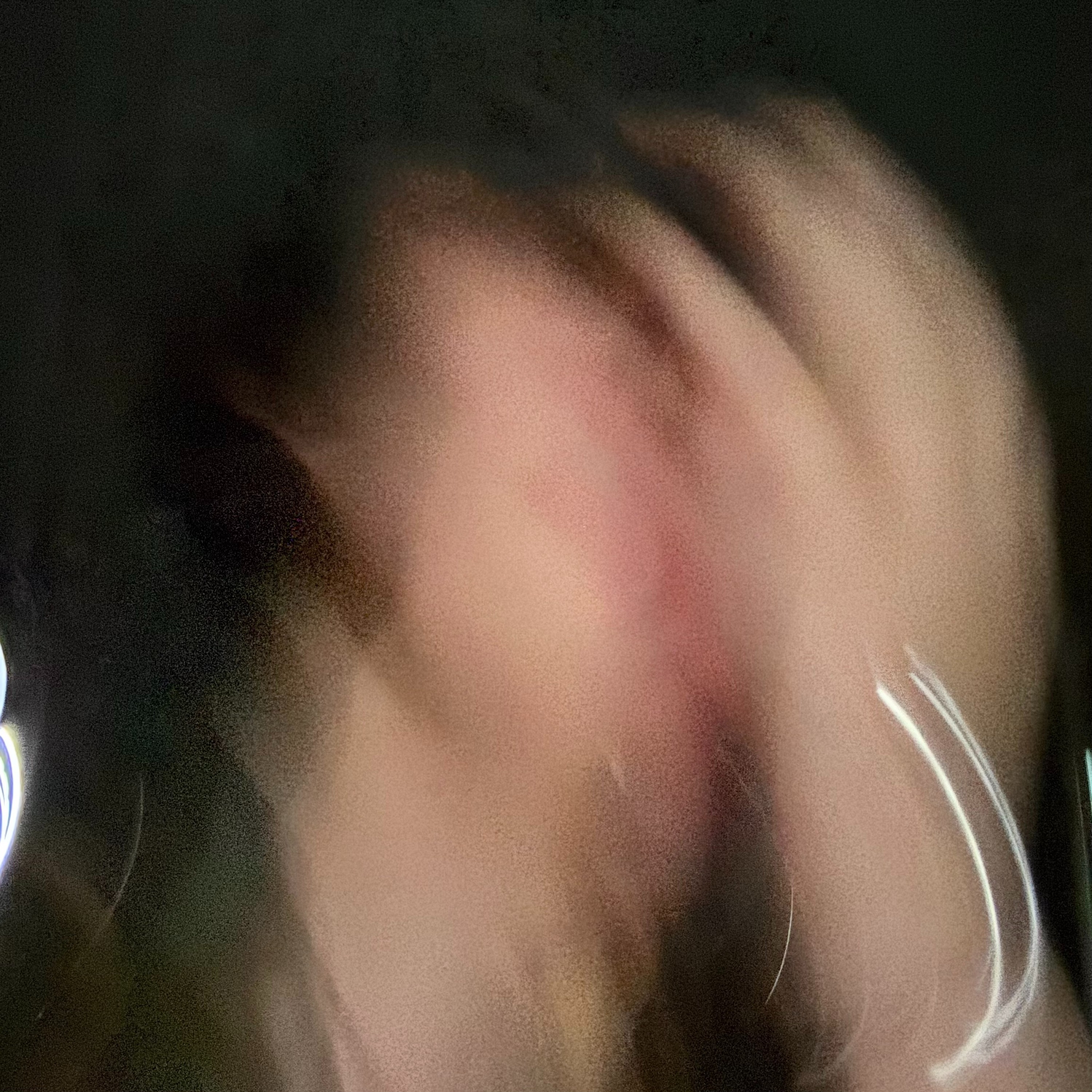 ジャケット写真