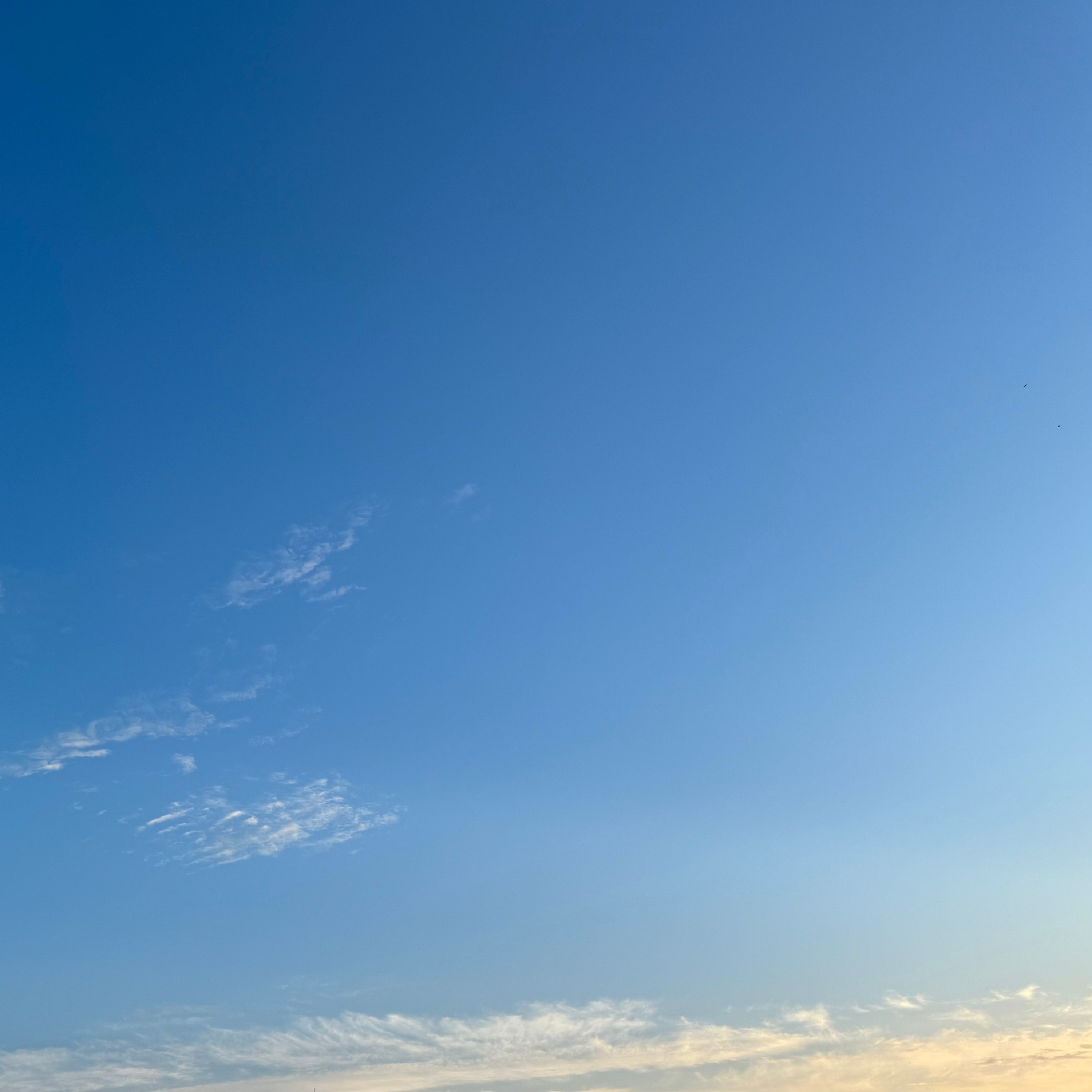 ジャケット写真