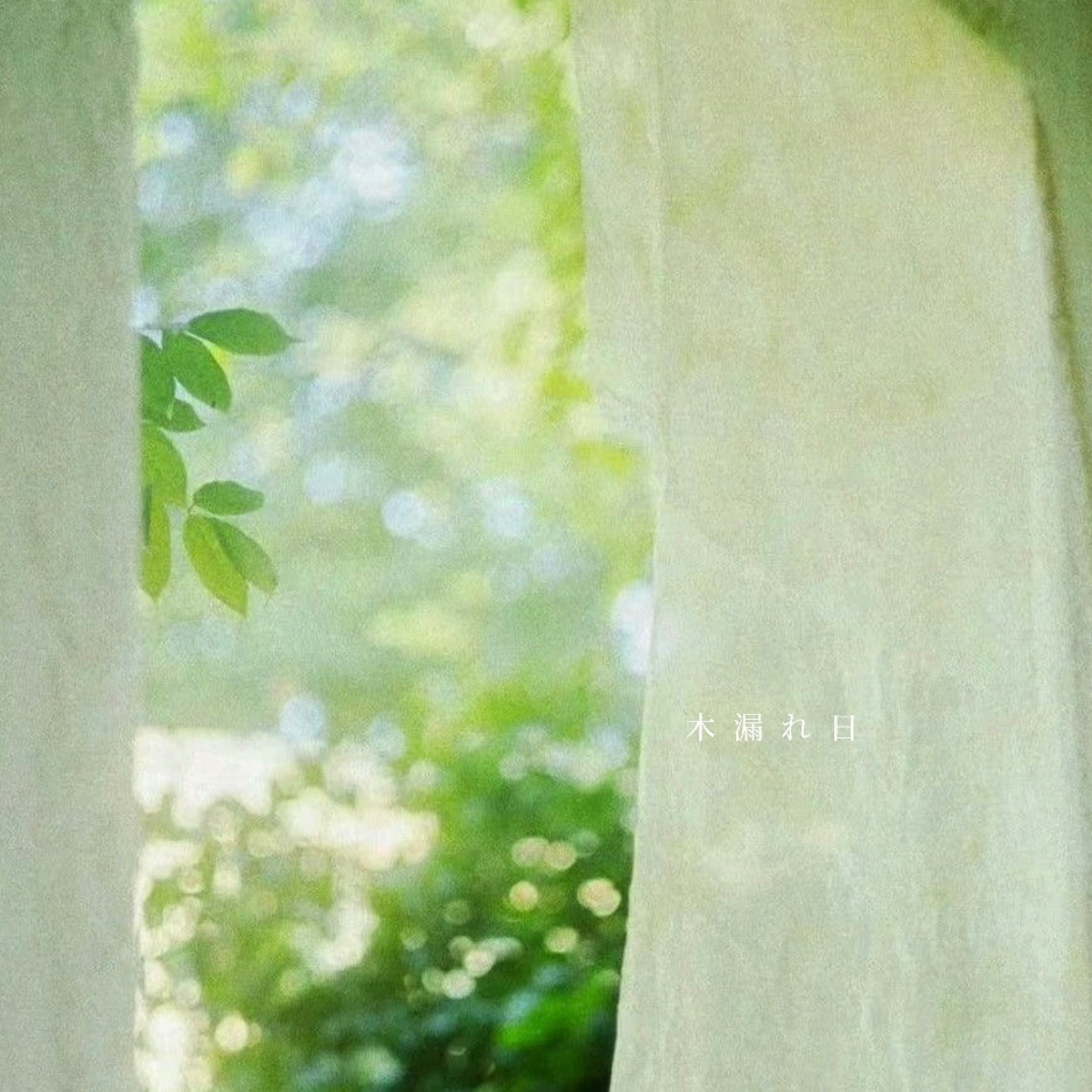 ジャケット写真