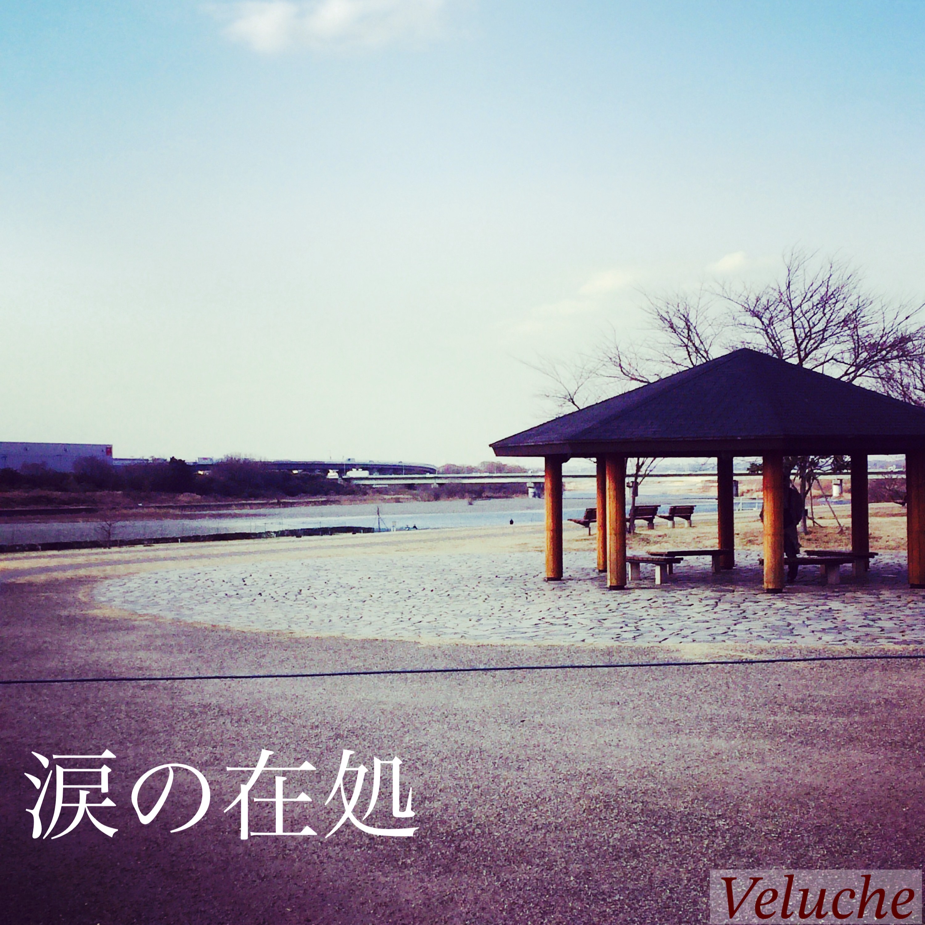 ジャケット写真