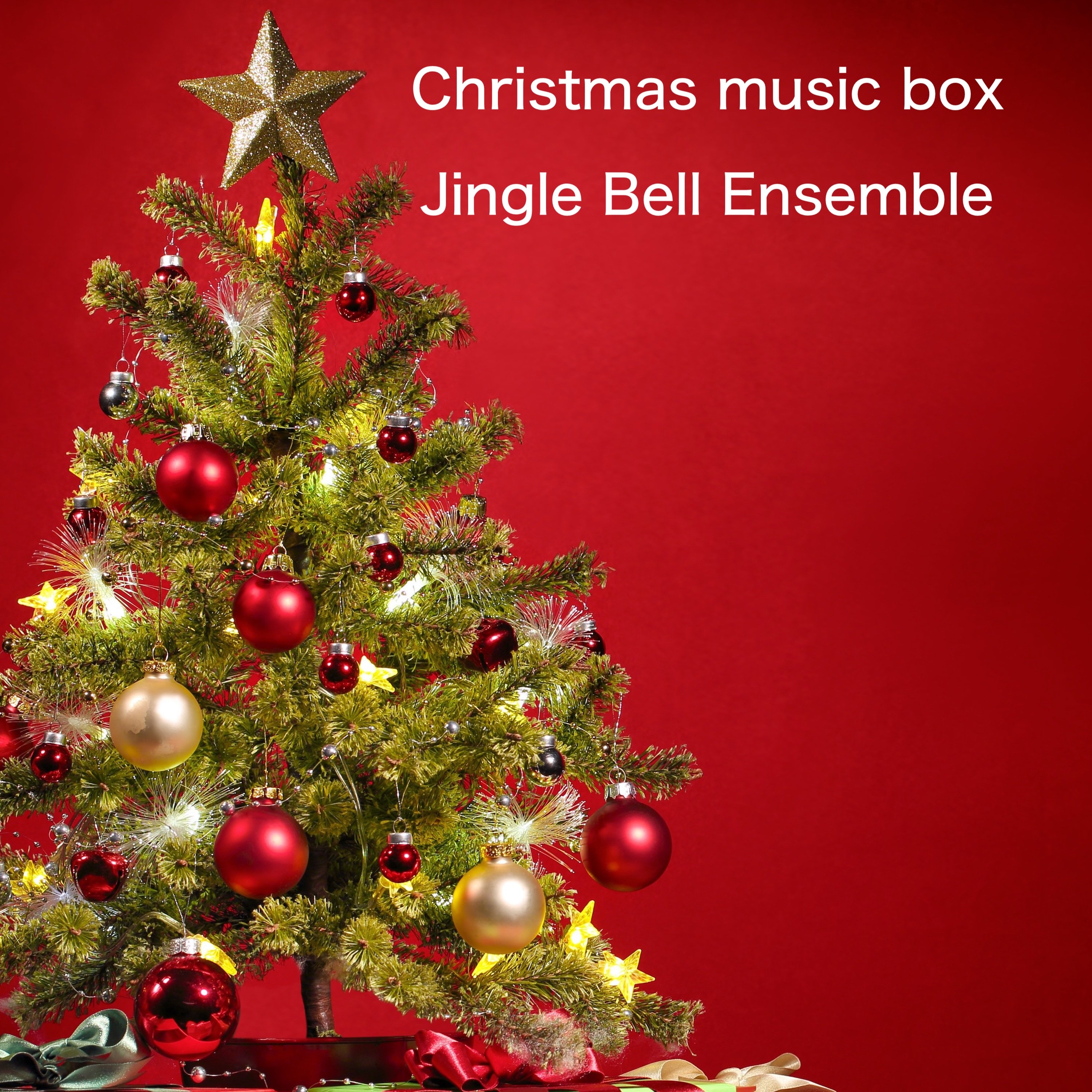 ジャケット写真