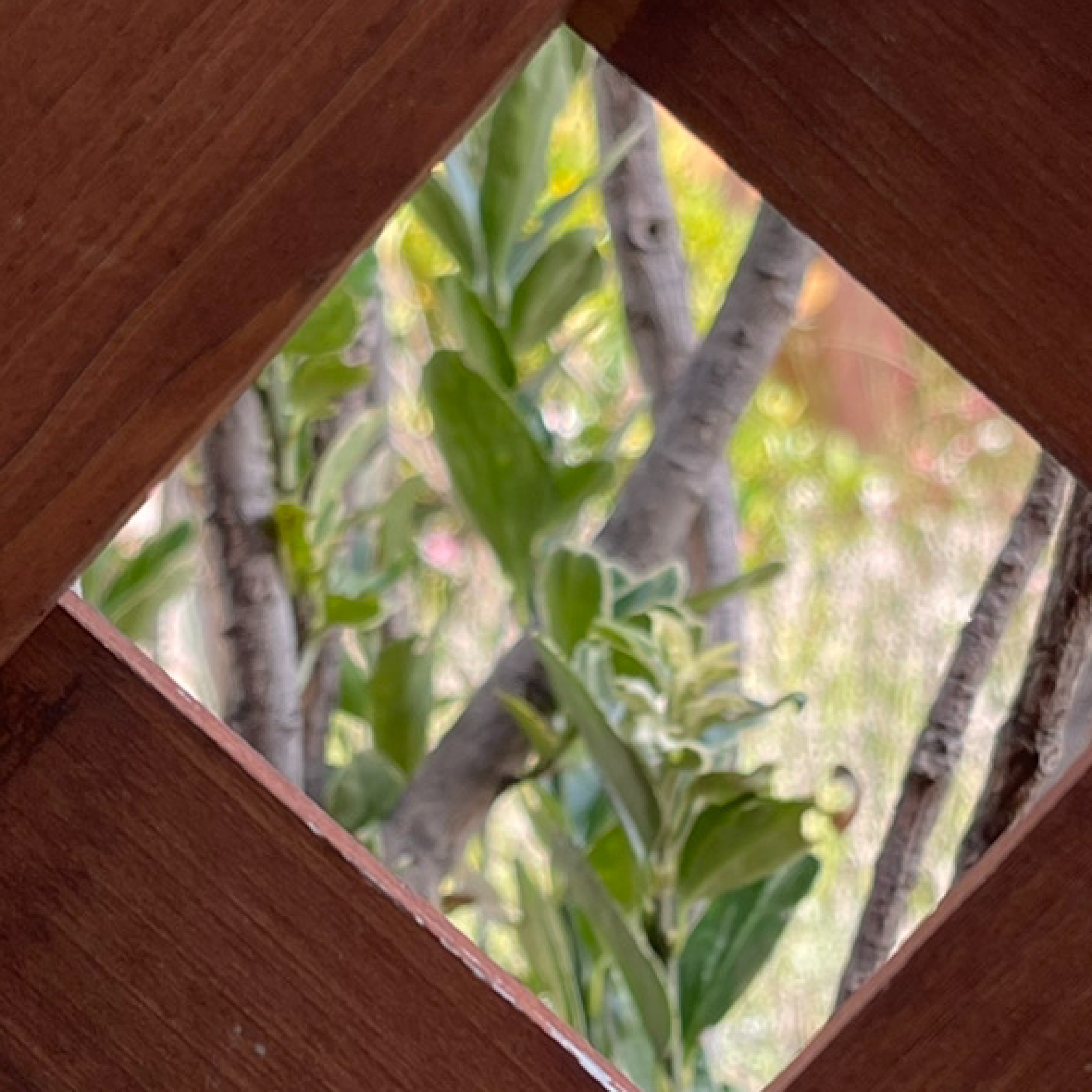 ジャケット写真