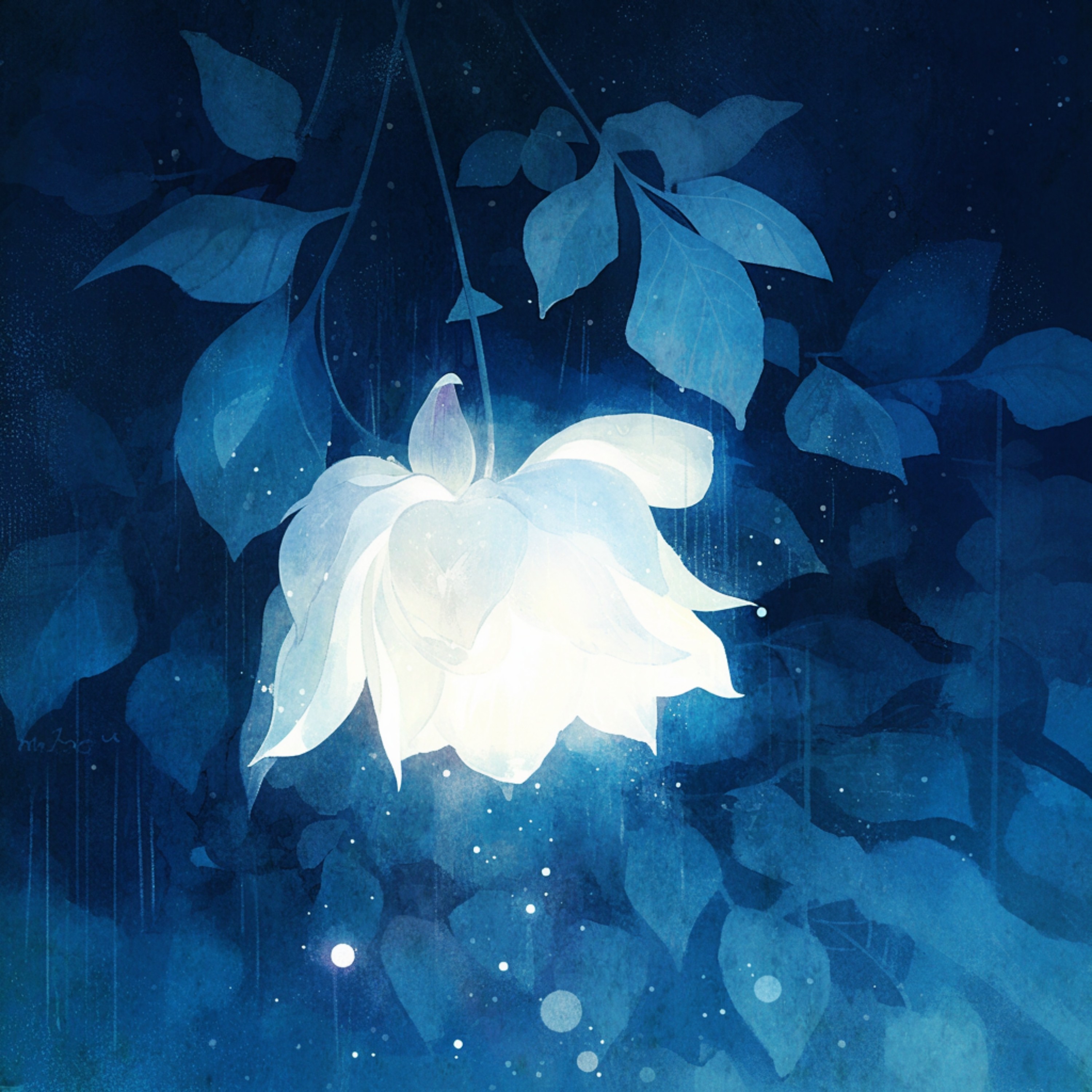 ジャケット写真