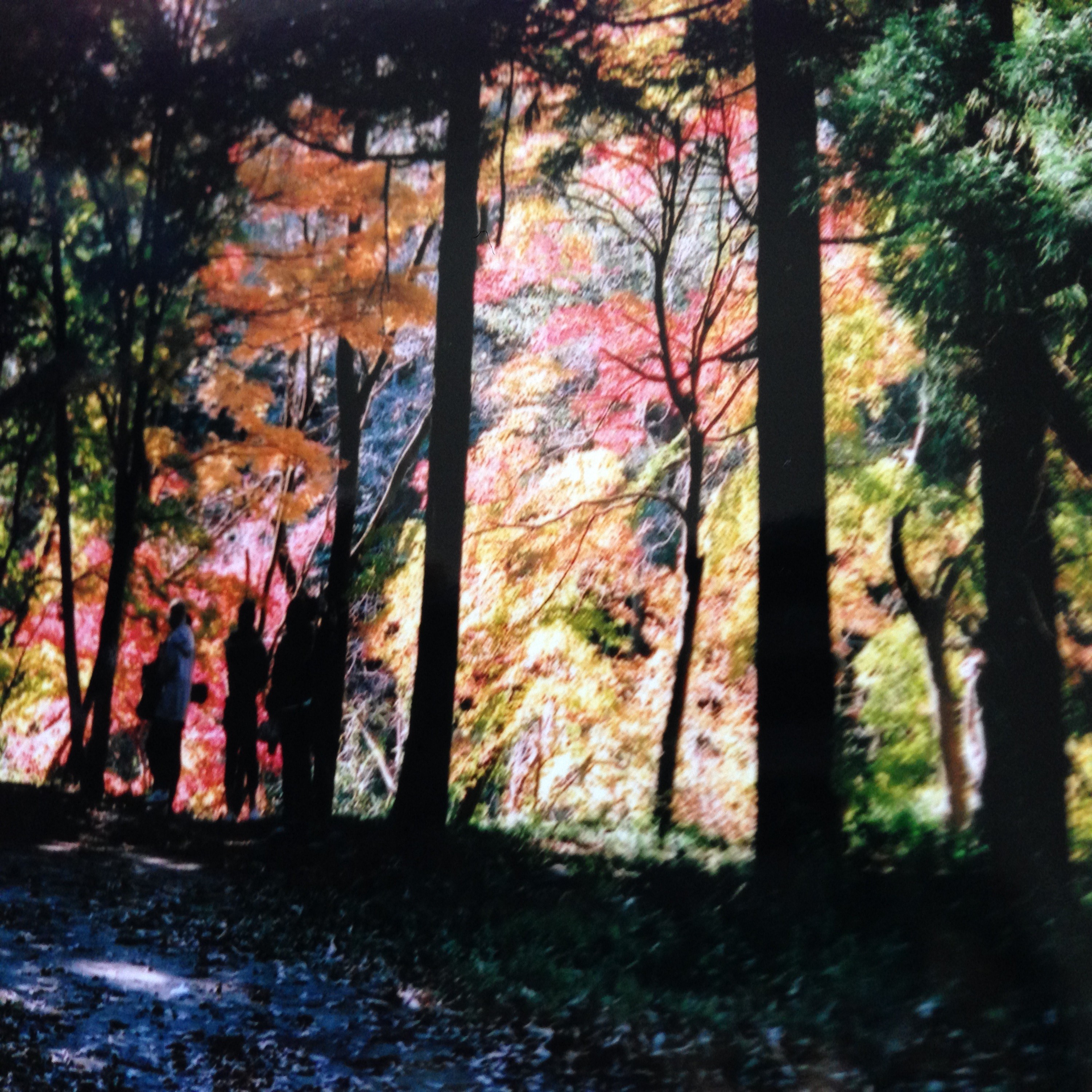 ジャケット写真